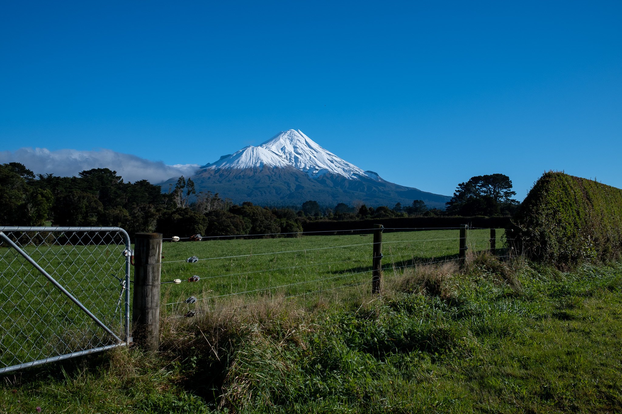 DSCF1822.jpg