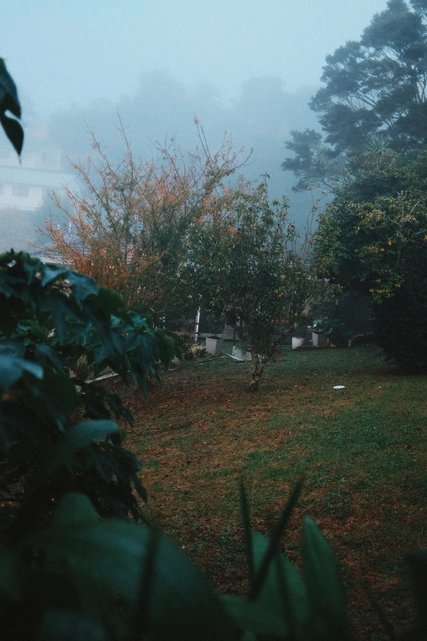 DSCF1627-VSCO.jpeg