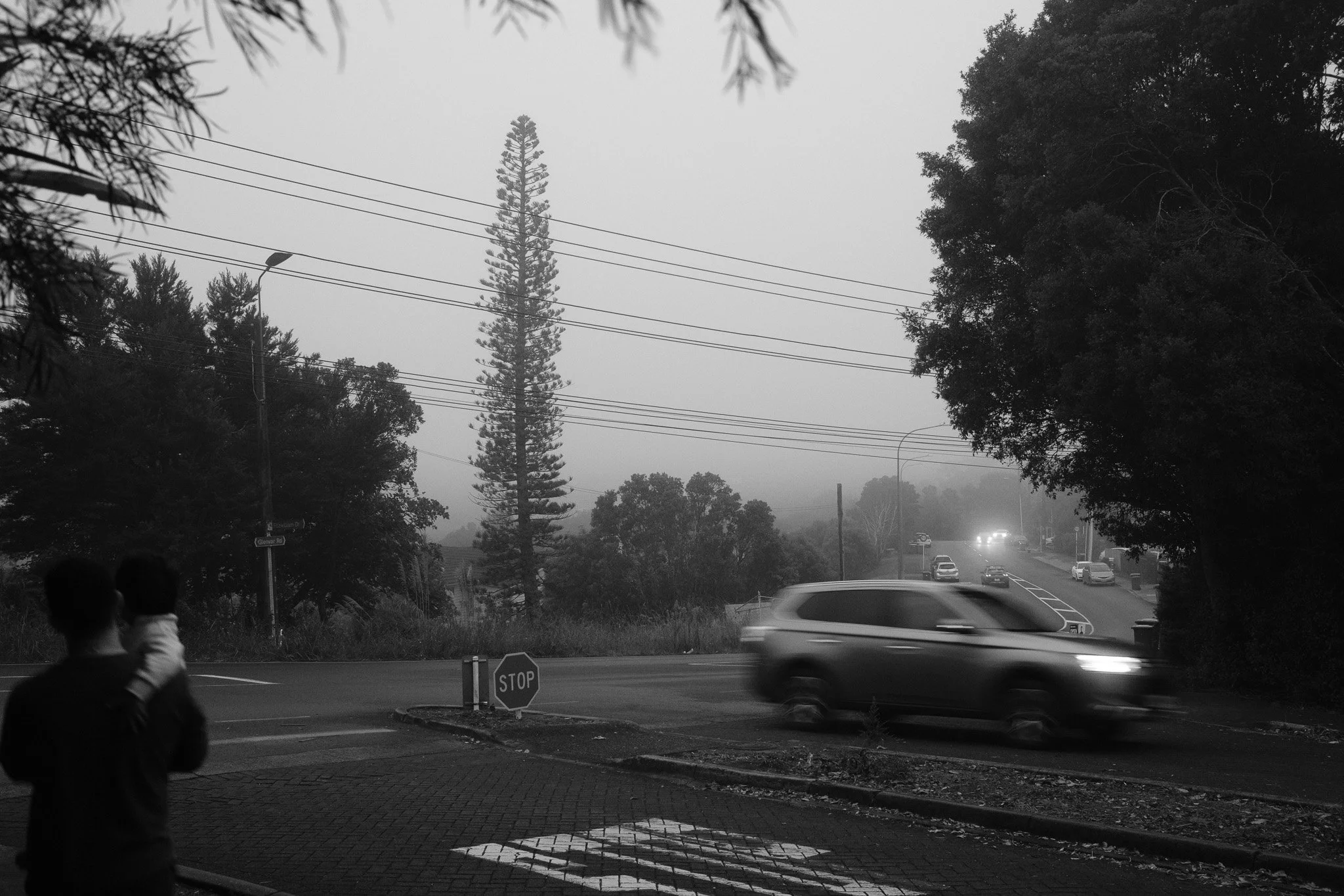 DSCF1314.jpg