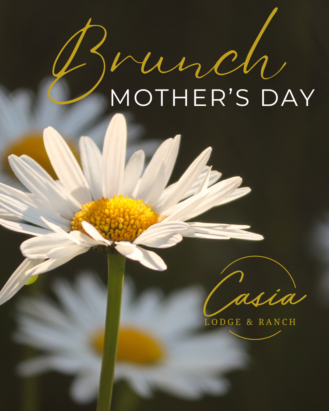Mother’s Day 2026 post.png