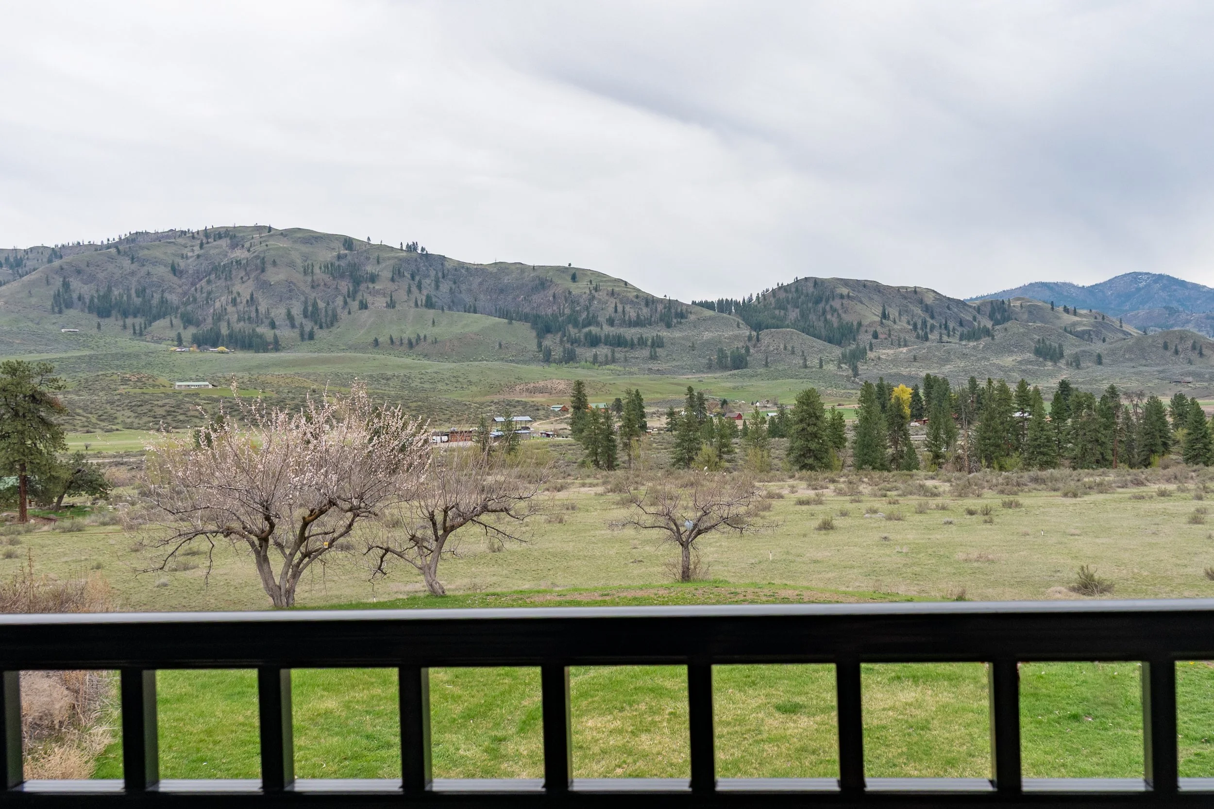 Methow view.jpg
