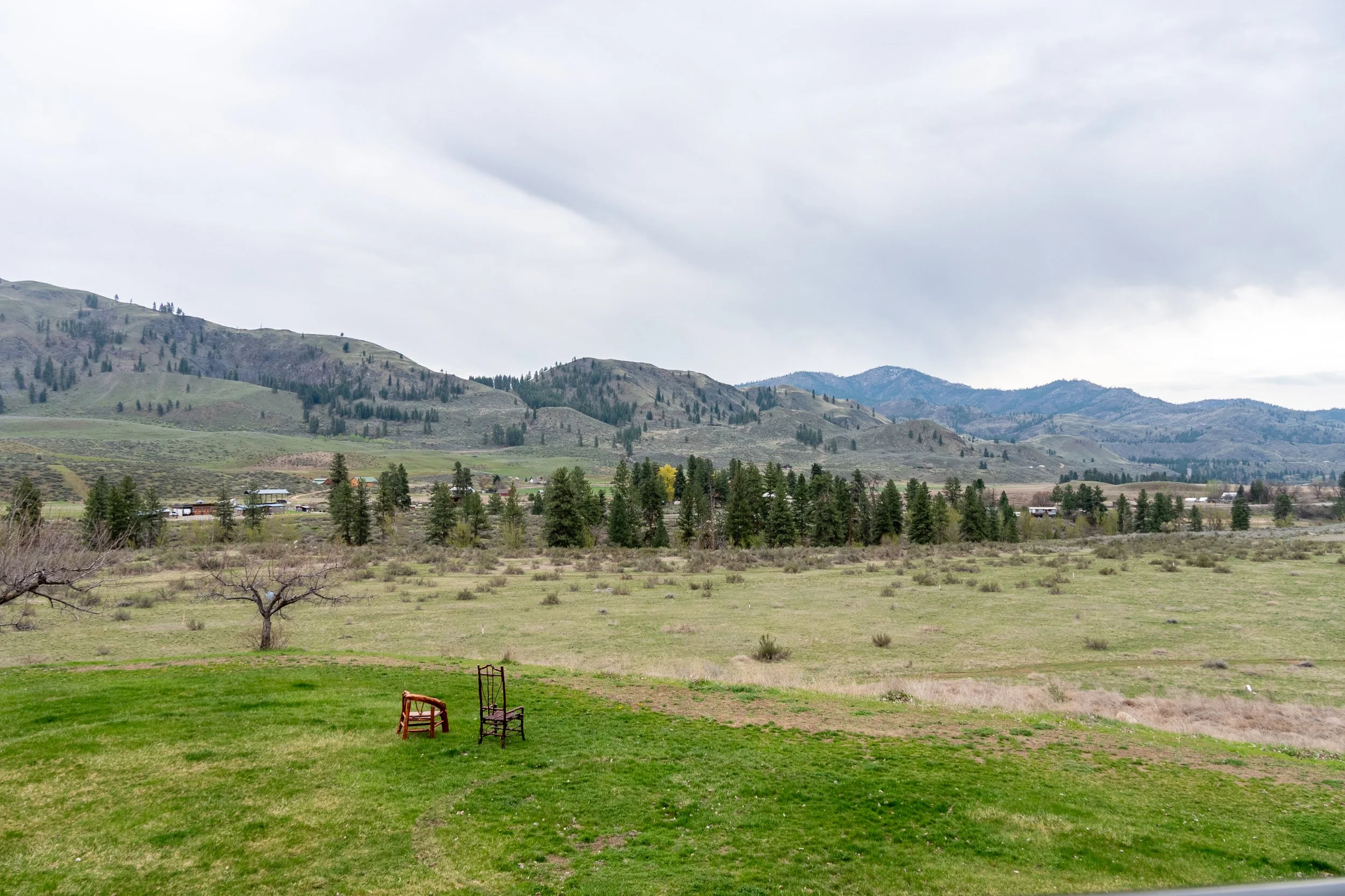 Bearcub view - Copy.jpg