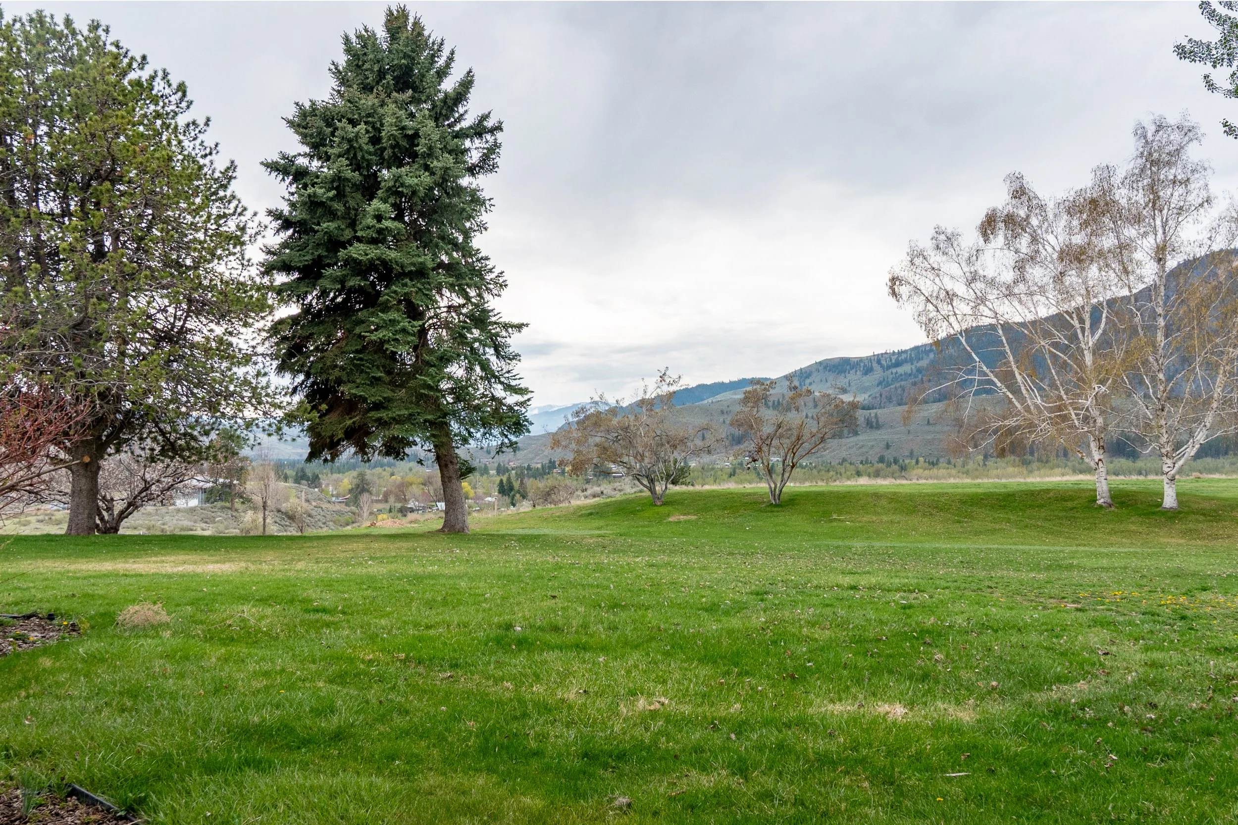 Aspen view - Copy.jpg