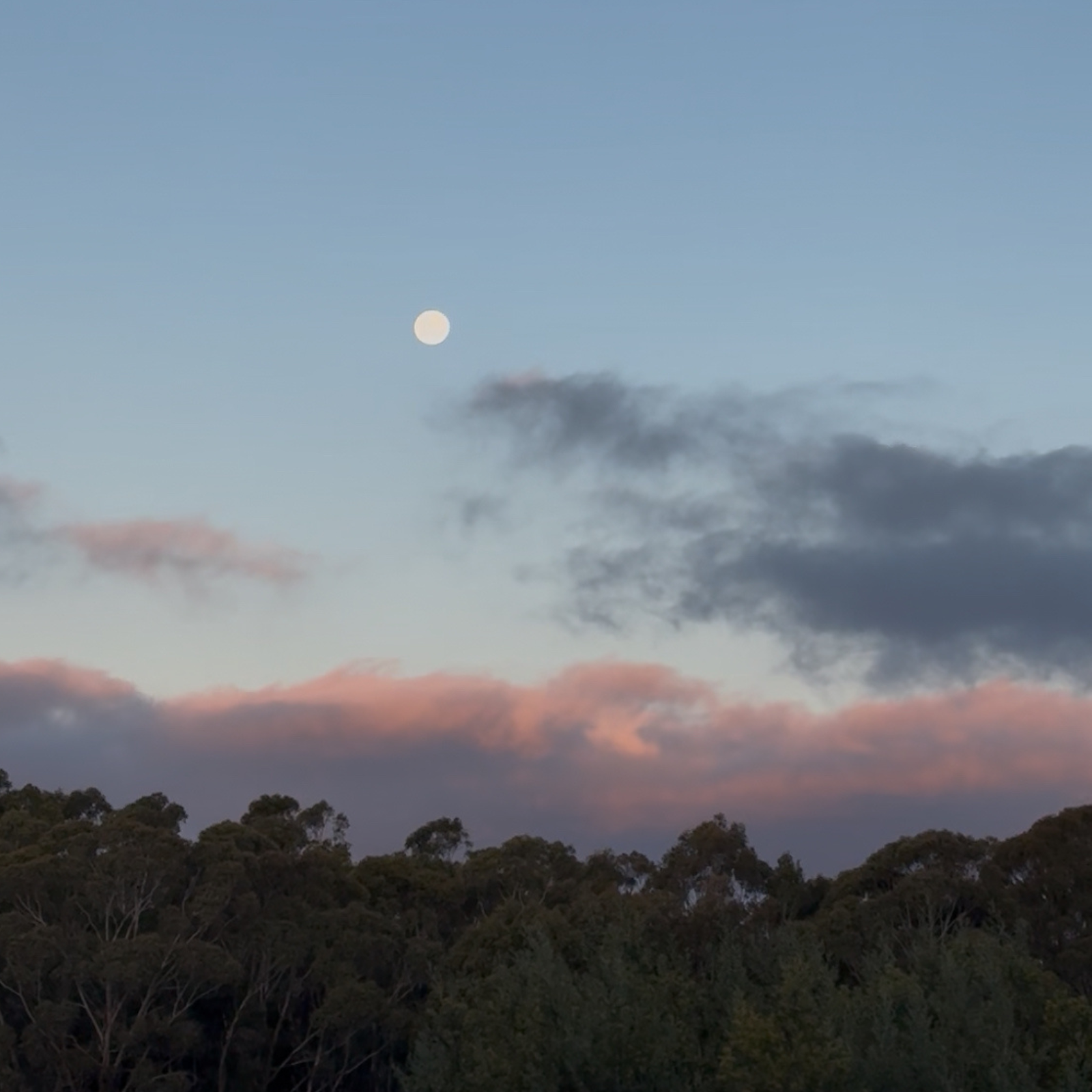 Full Moon Yoga Nidra with Reiki