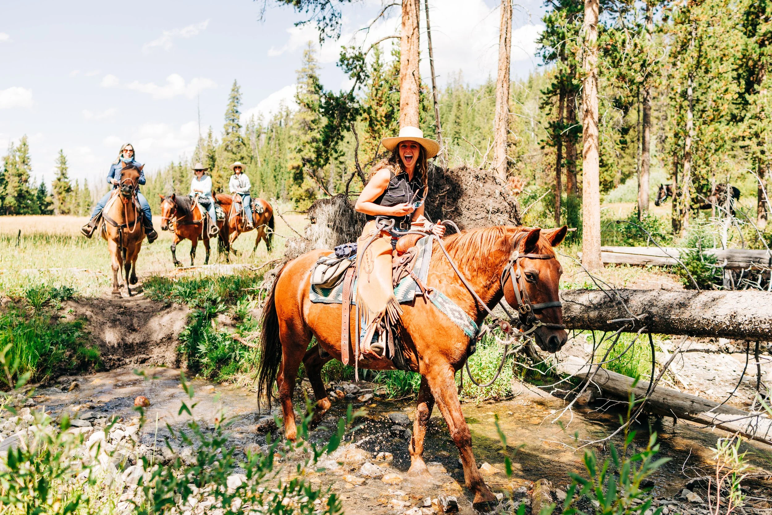 Trail Rides — Wilderness Trails Outfitters