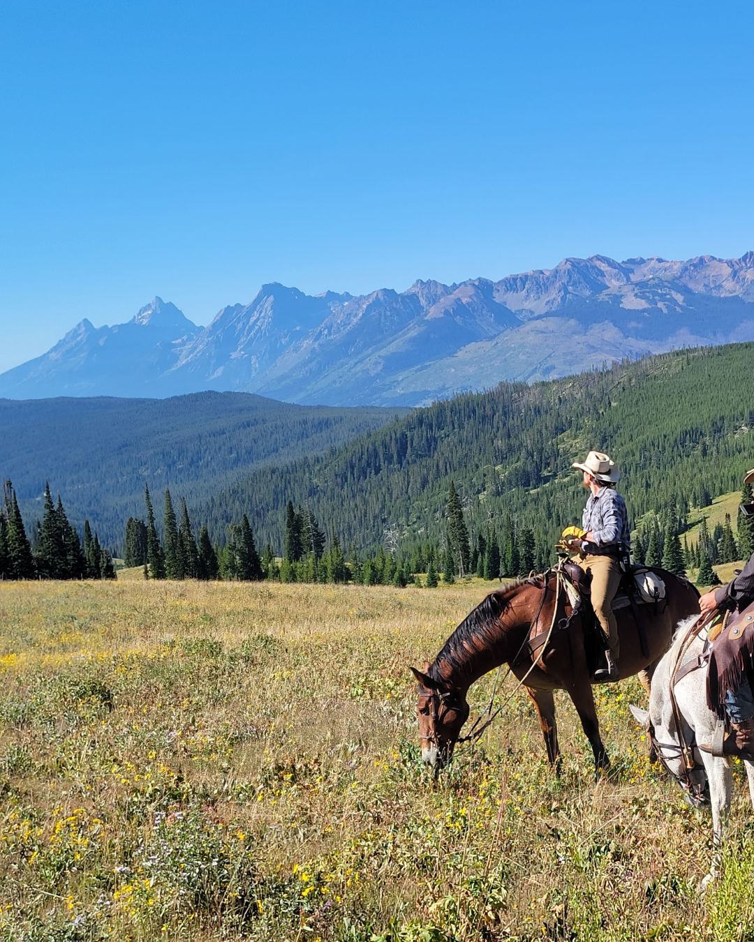Trail Rides — Wilderness Trails Outfitters