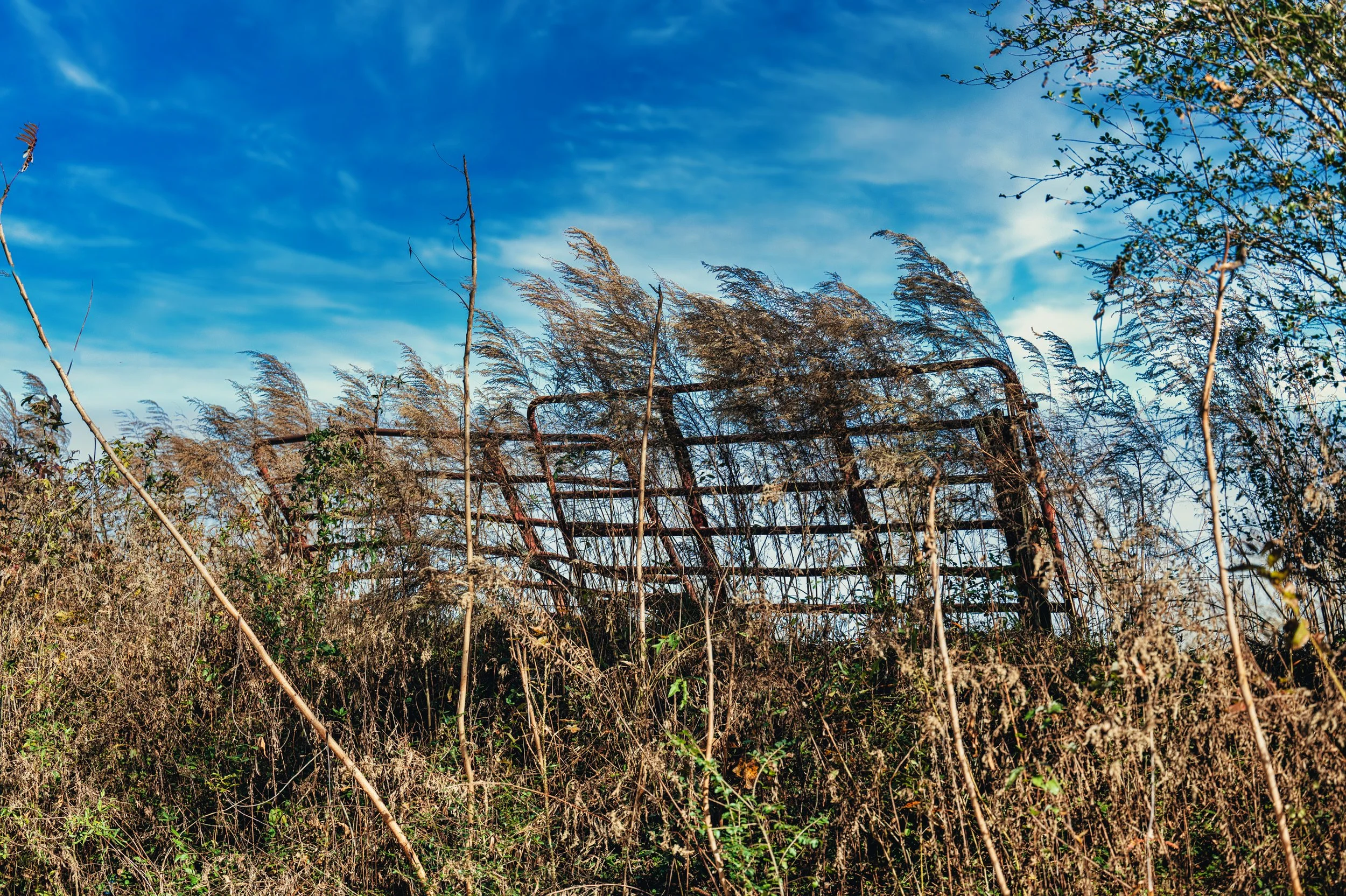 DSC_3219-HDR-Edit.jpg