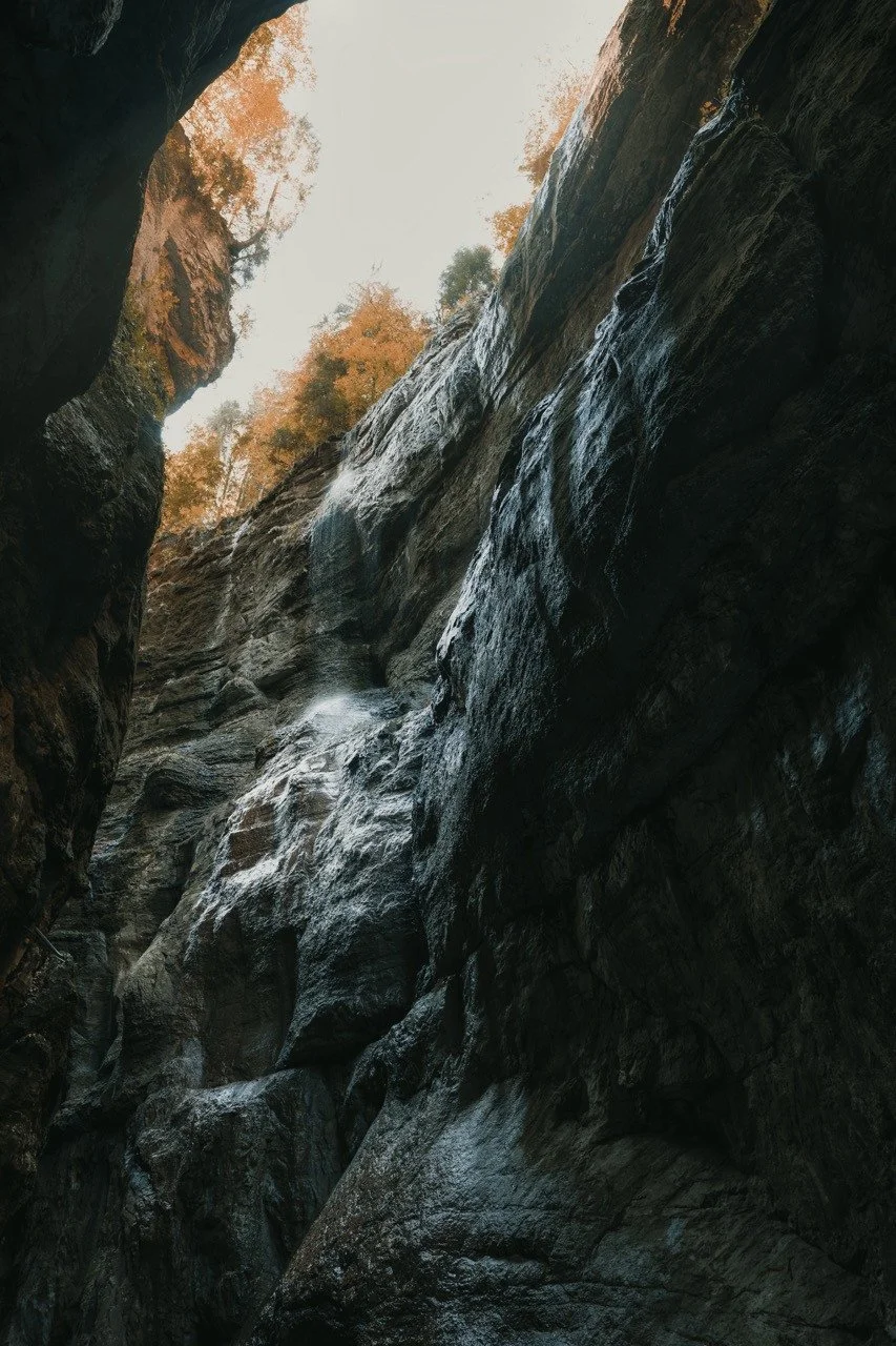 Upward view between the steep textured rock walls of Partnach Gorge.