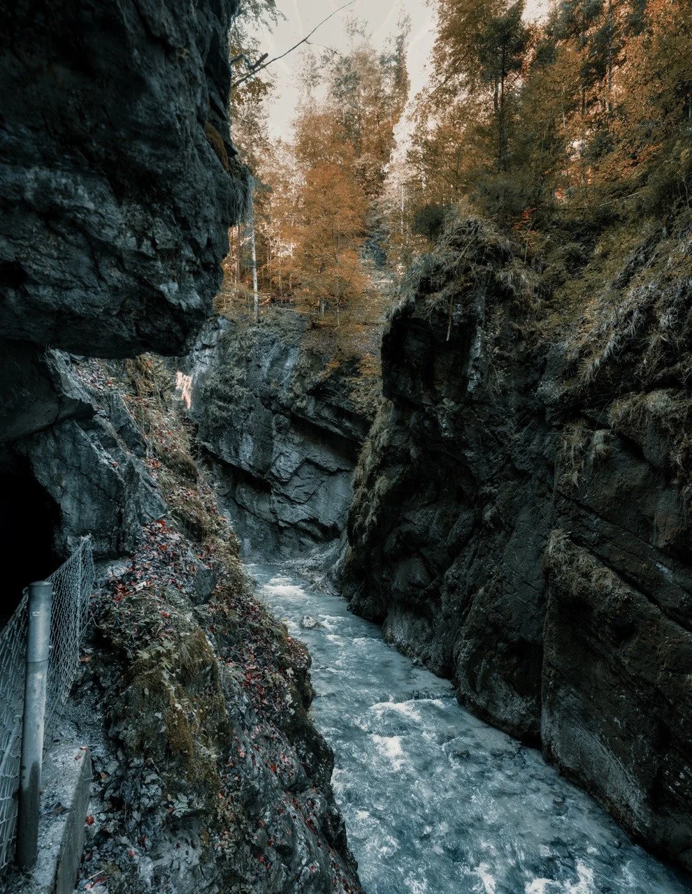 Partnach Gorge with autumn trees above the rock walls and river.