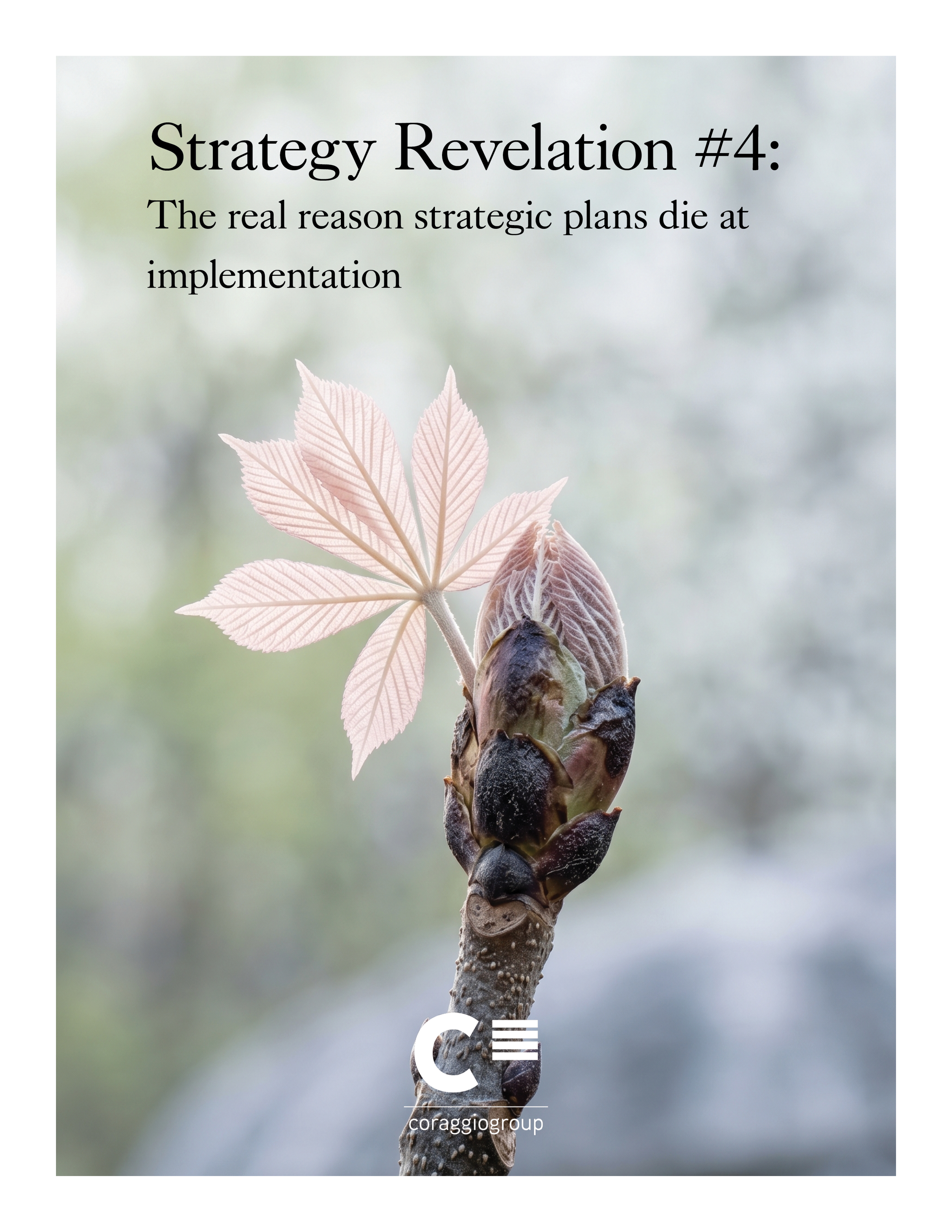 The real reason strategic plans die at implementation