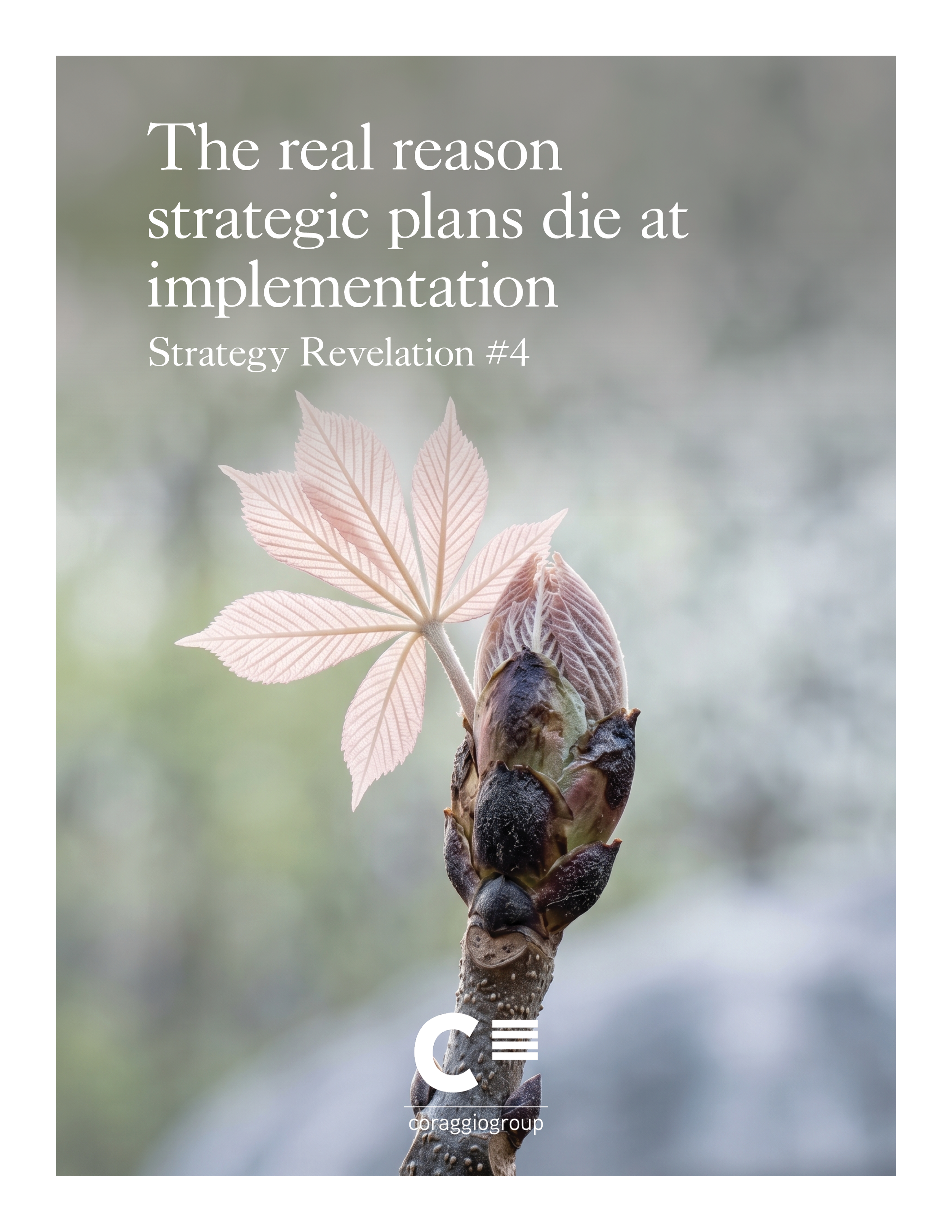 The real reason strategic plans die at implementation