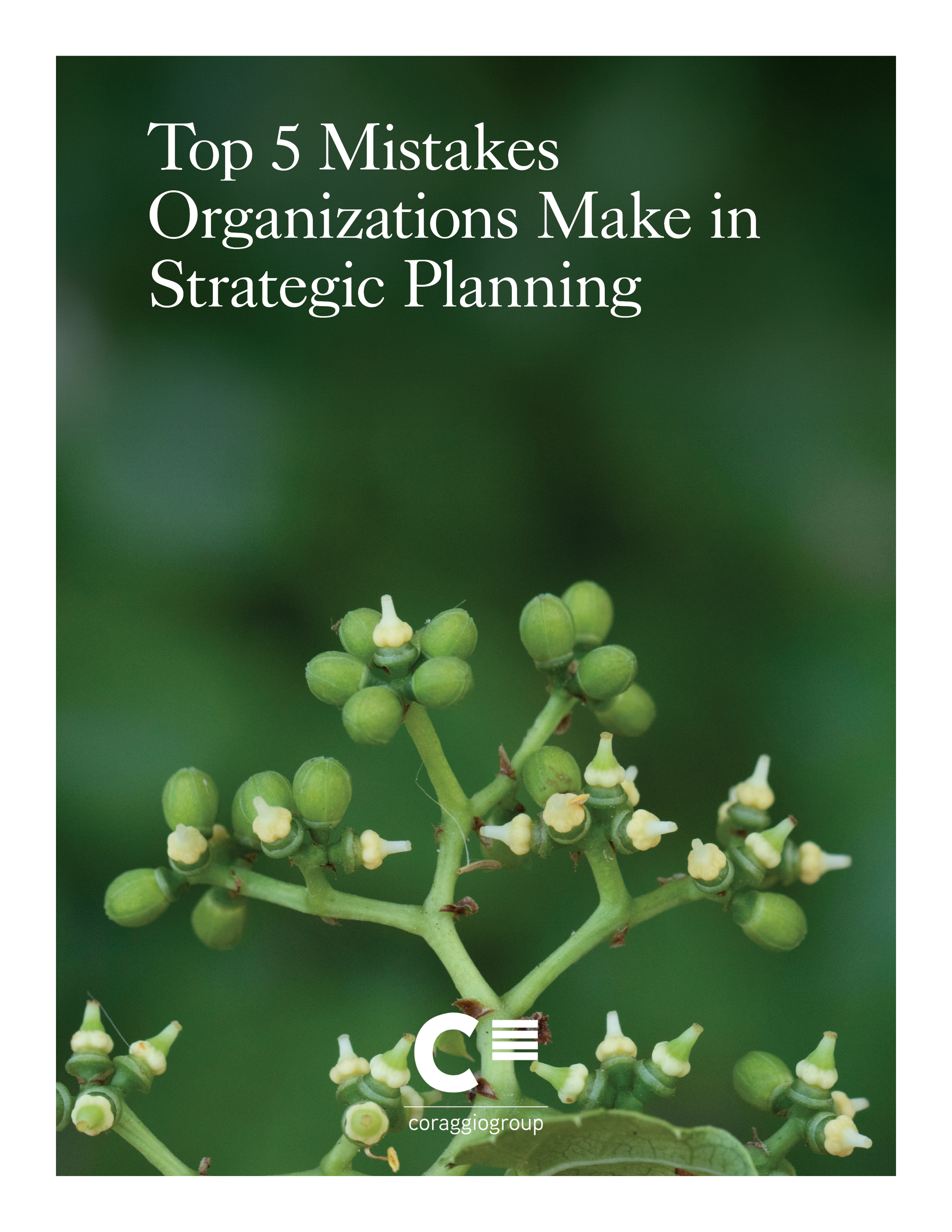 Top 5 Mistakes Organizations Make in Strategic Planning&nbsp;