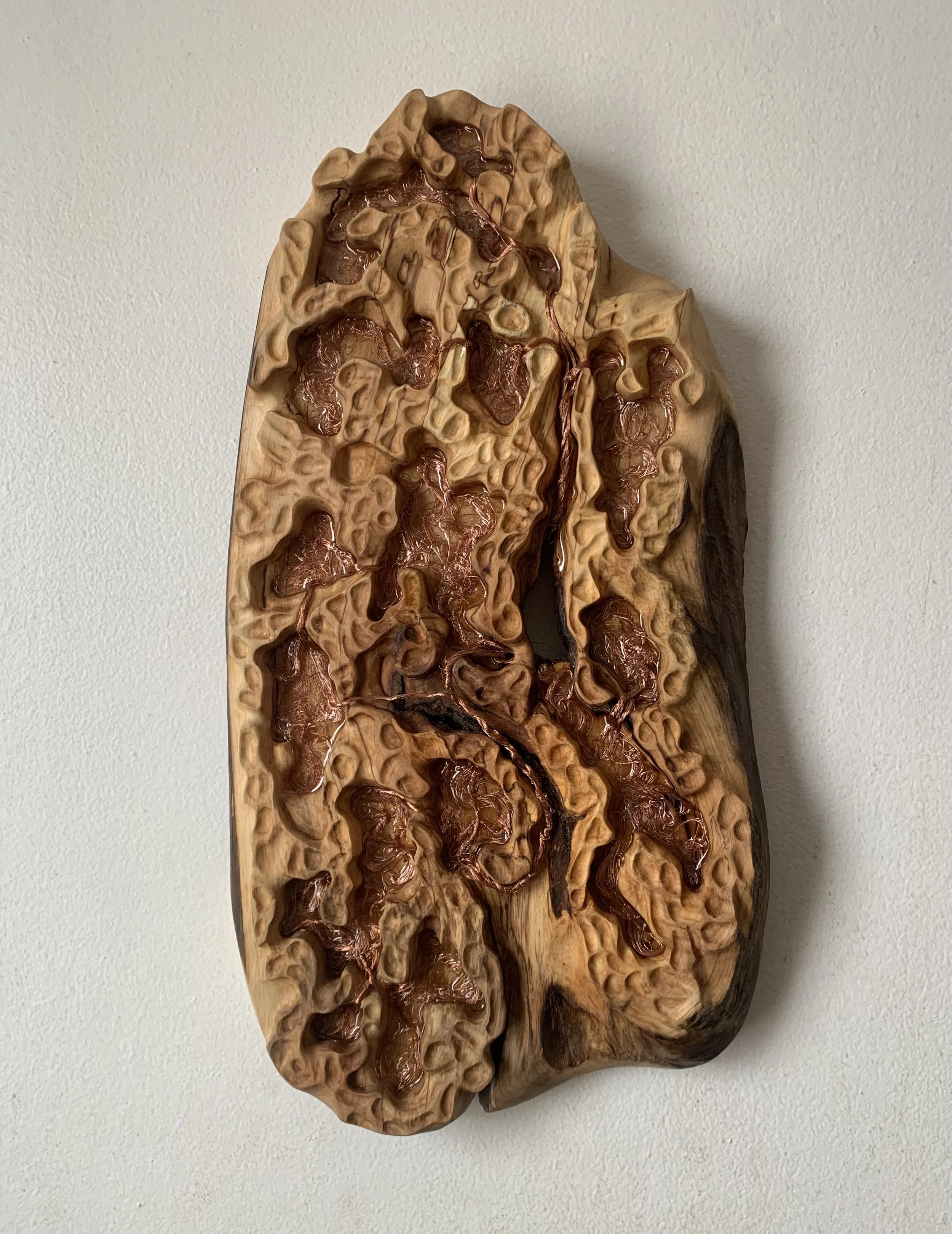 Exhale (Lung Tissue Study)