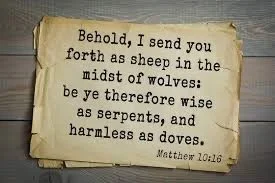 Page from the Bible with Matthew 10:16 verse about sheeps and wolves.