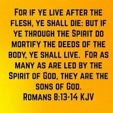 Bible verse from Romans 8:13-14 KJV on a yellow background, quoting about living and dying in the Spirit.