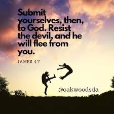 Silhouette of a person climbing a mountain at sunset with a tree branch nearby, with a Bible verse overlay about resisting the devil and fleeing from evil.