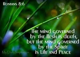 A quote overlay on a background of green reeds or grass, reading: 'The mind governed by the flesh is death, but the mind governed by the spirit is life and peace.'
