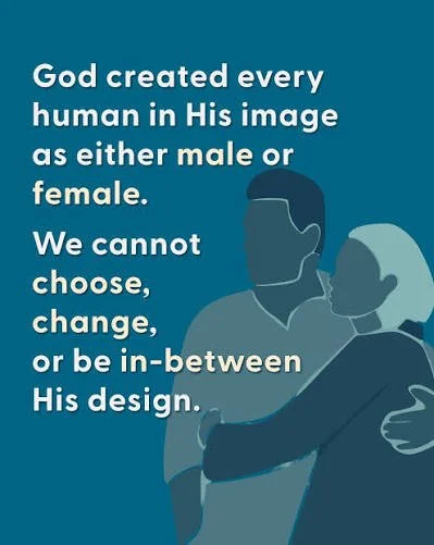 Quote about God's creation of humans as male or female with an illustration of two people hugging.