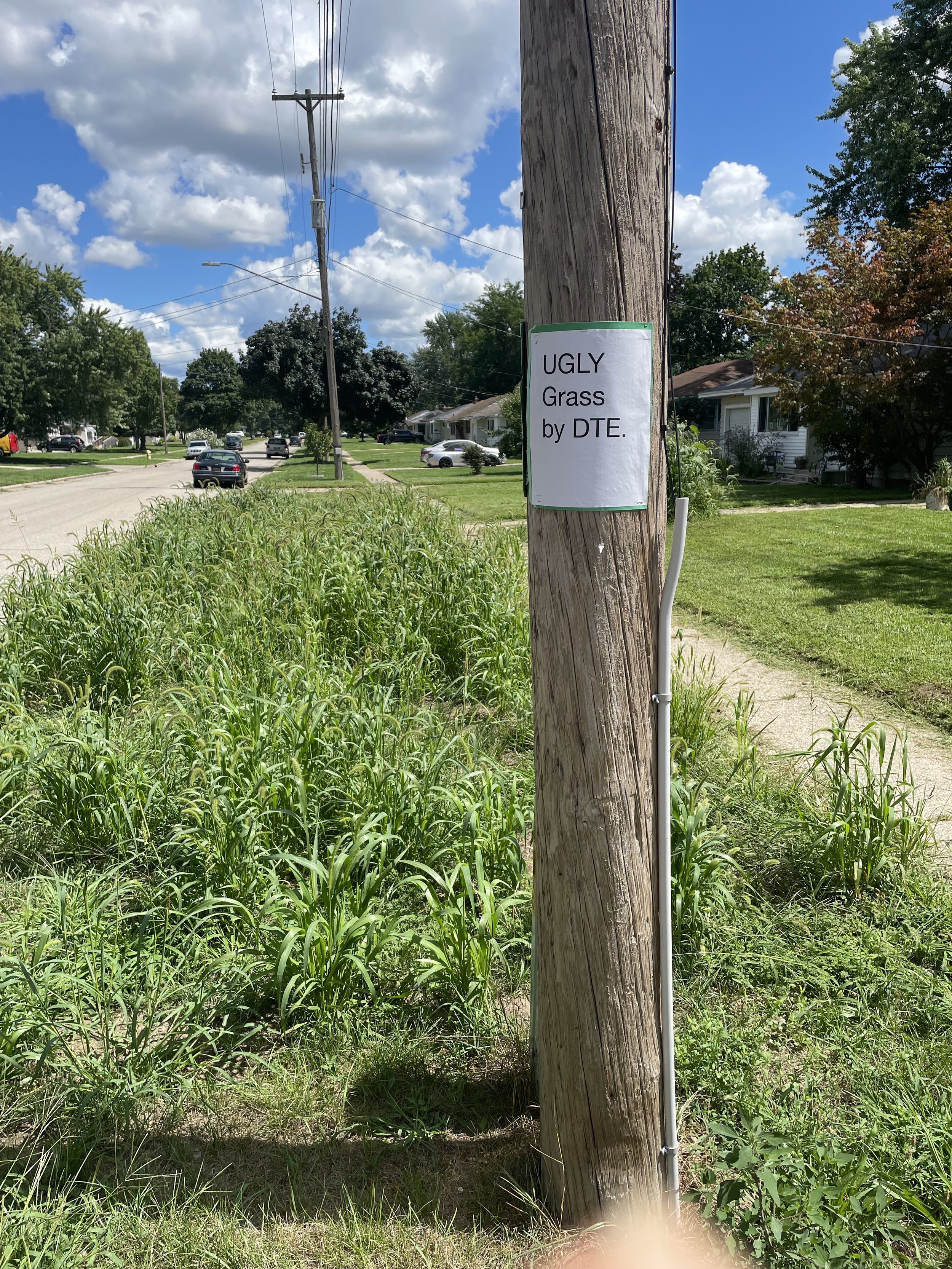 A wooden utility pole with a sign that reads, 'UGLY Grass by DTE,' located in a residential neighborhood with houses, cars, trees, and a cloudy sky.