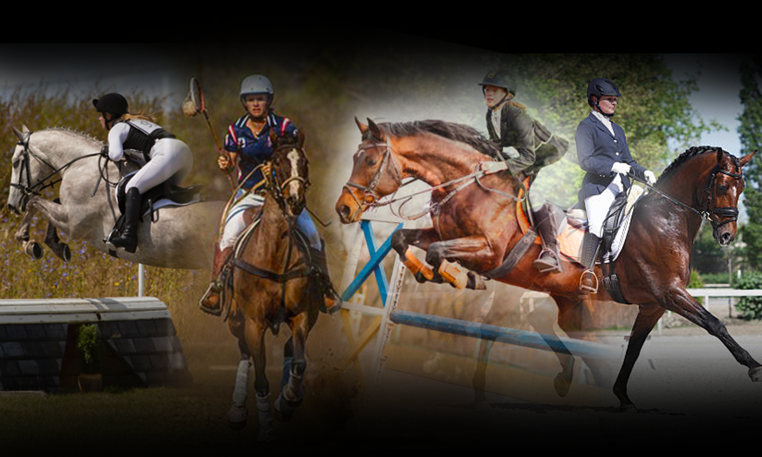 RM Equestrian Centre riding club Toowoomba