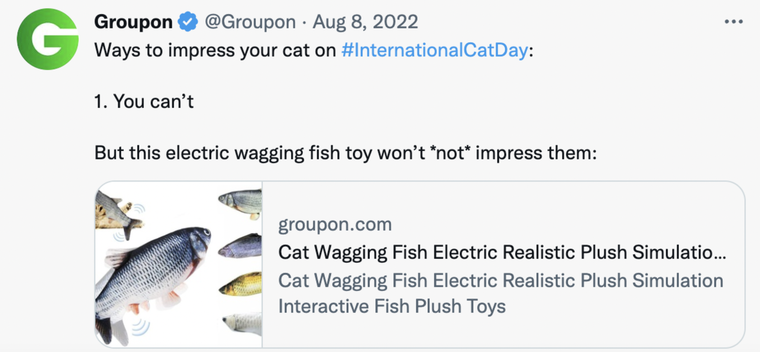 Screenshot 2026-06-23 at 11.10.21 PM.png