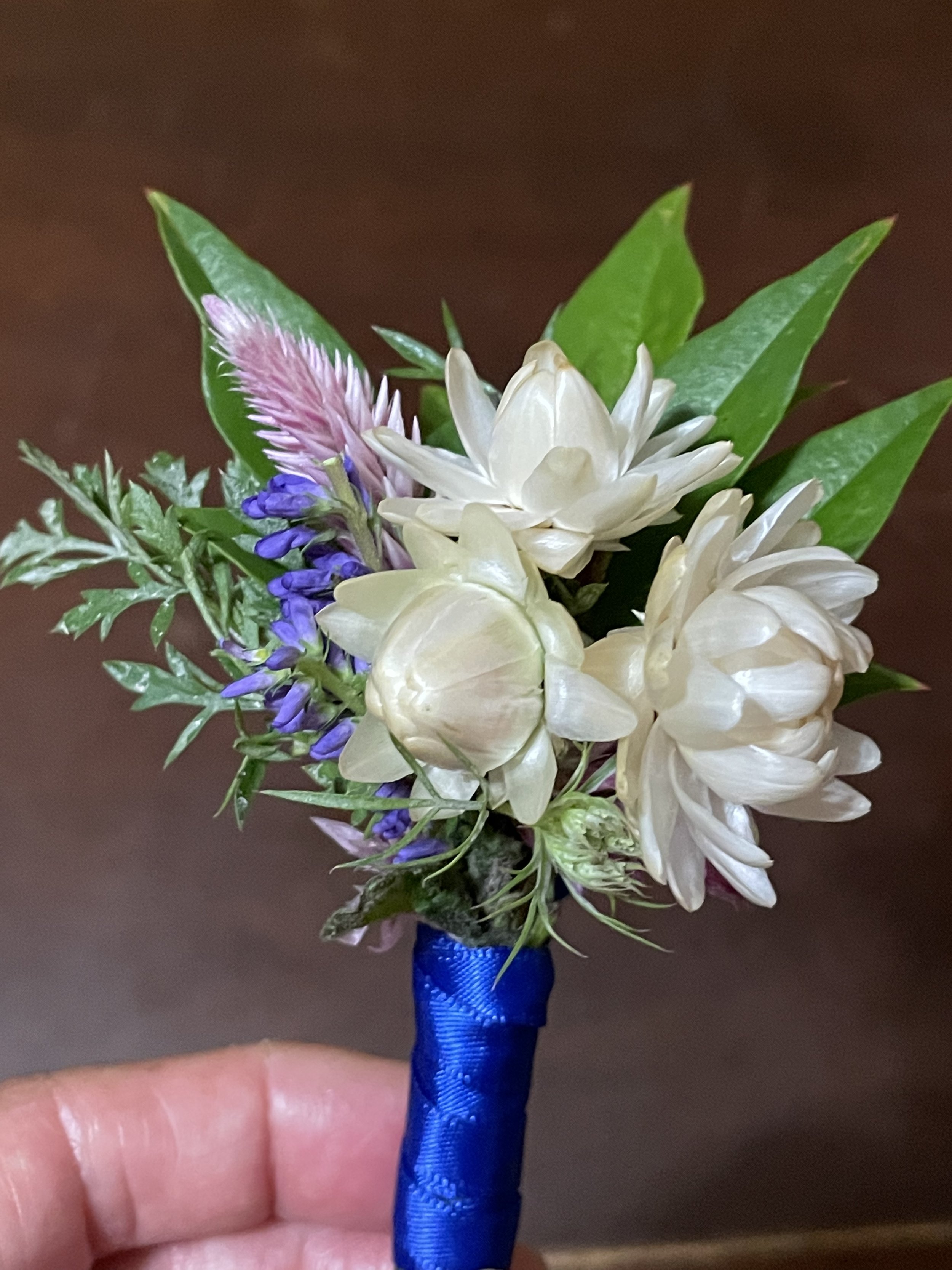 D5851C9B-01A6-436F-BD37-786FEE3737D1.jpeg
