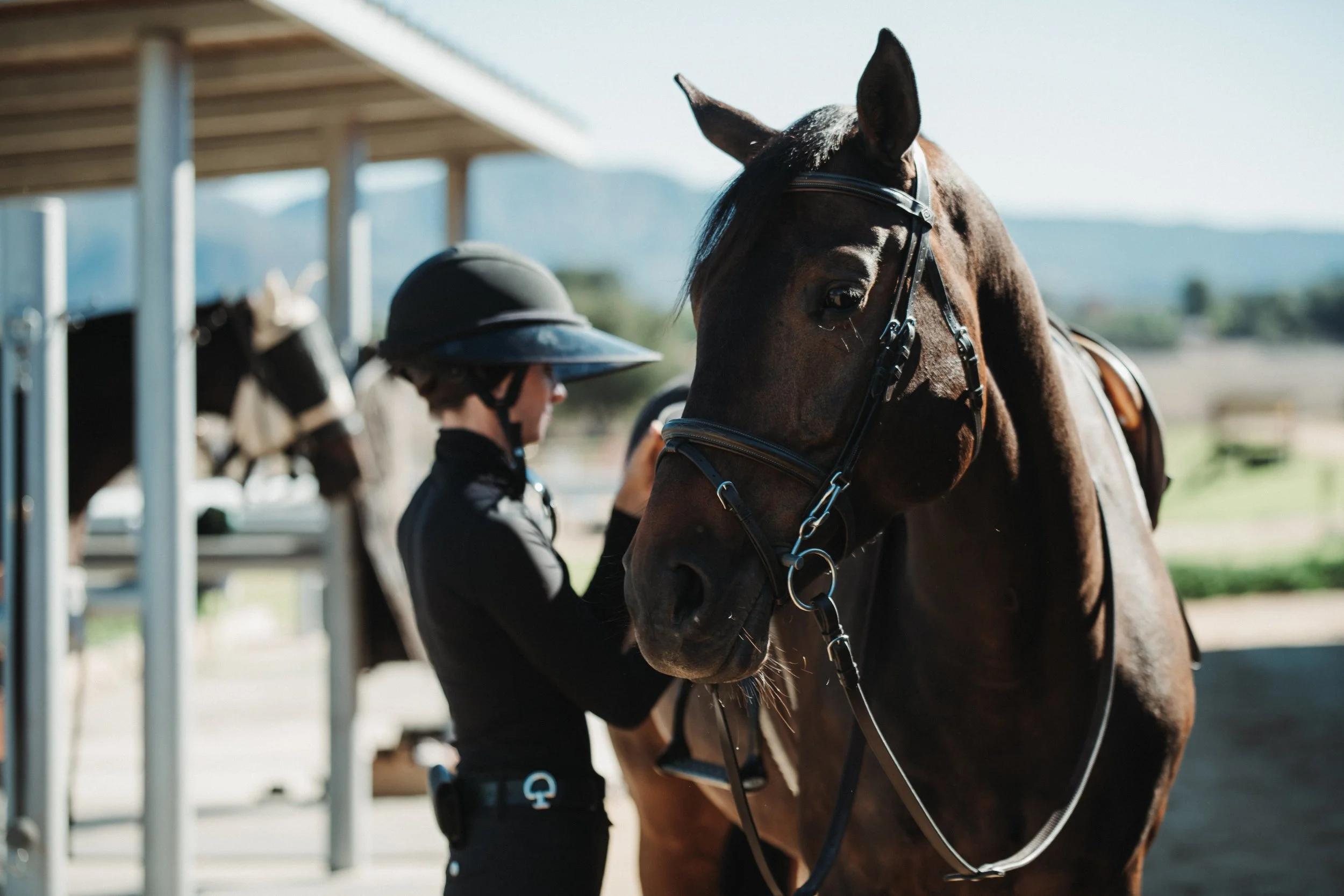 Spacious crossties for horses in training