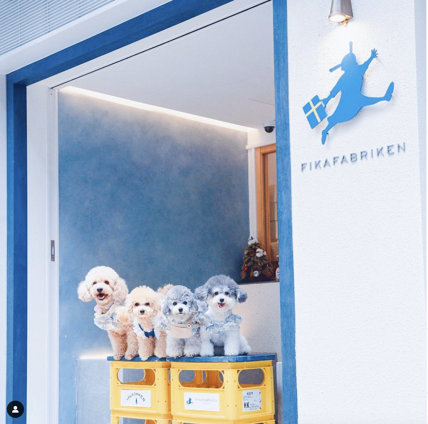 Custom Prints for FIKA FABRIKEN Hong Kong