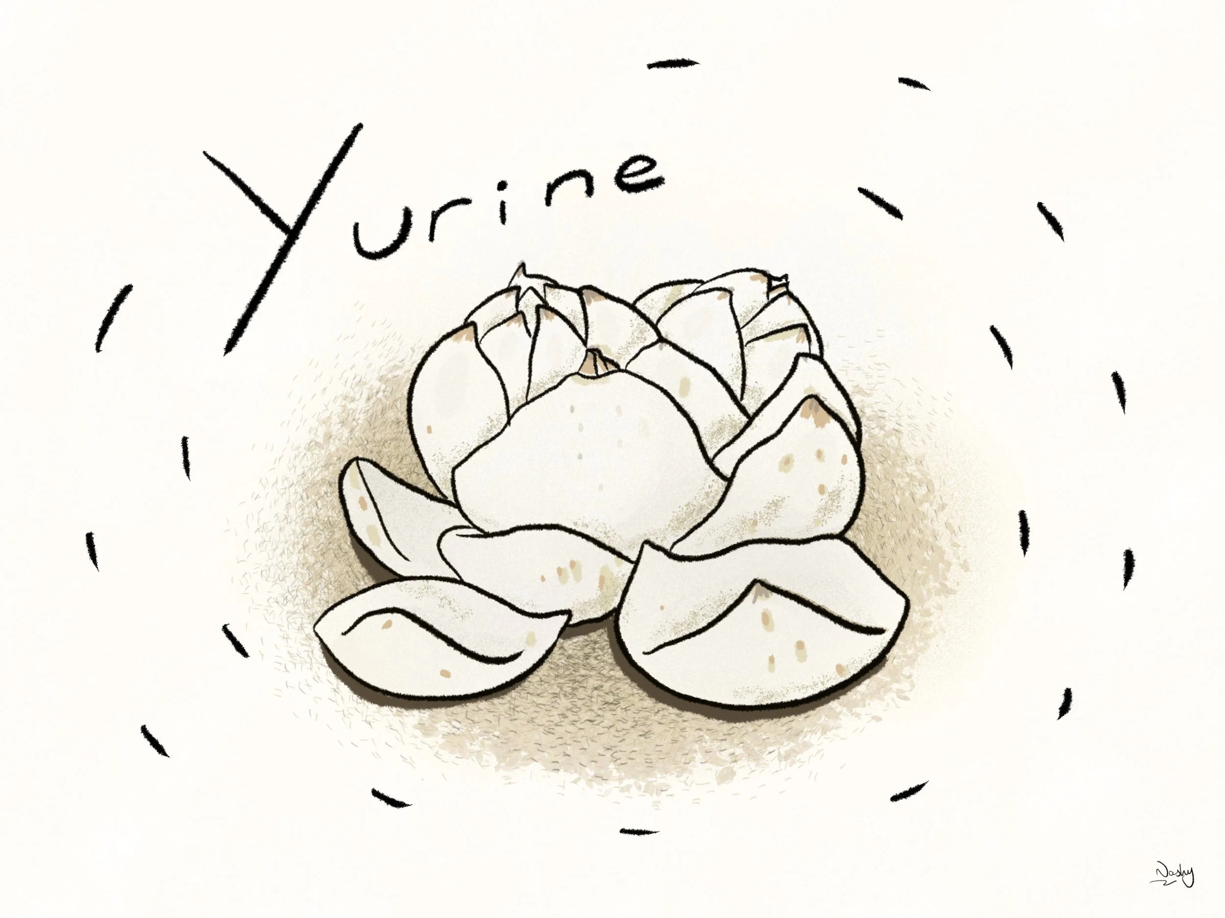 ゆりねって食べたことある？