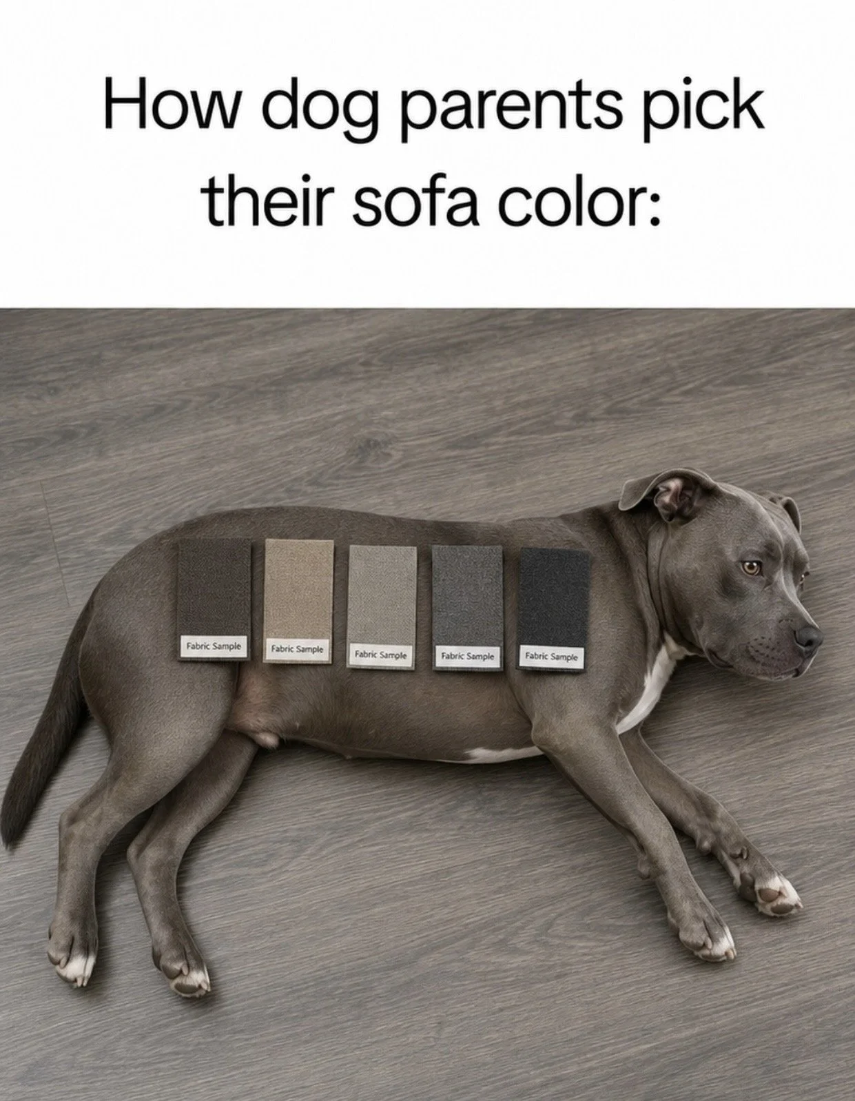 Pit Bull, Blue Nose, Upholstery Fabrics