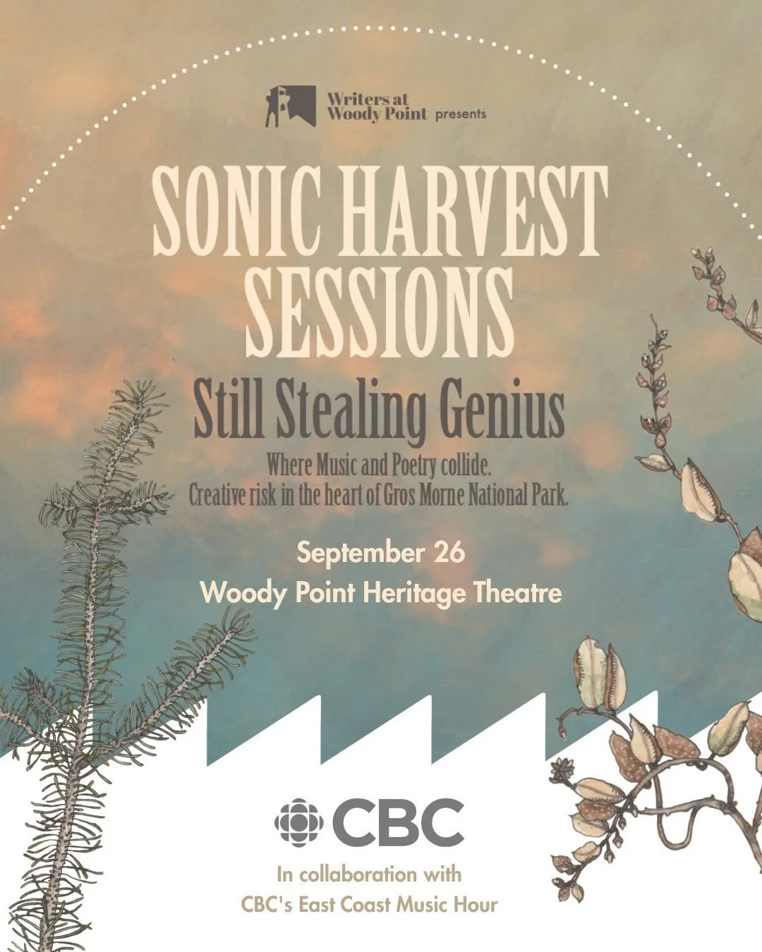 Sonic Harvest Sessions returns to the Woody Point Heritage Theatre