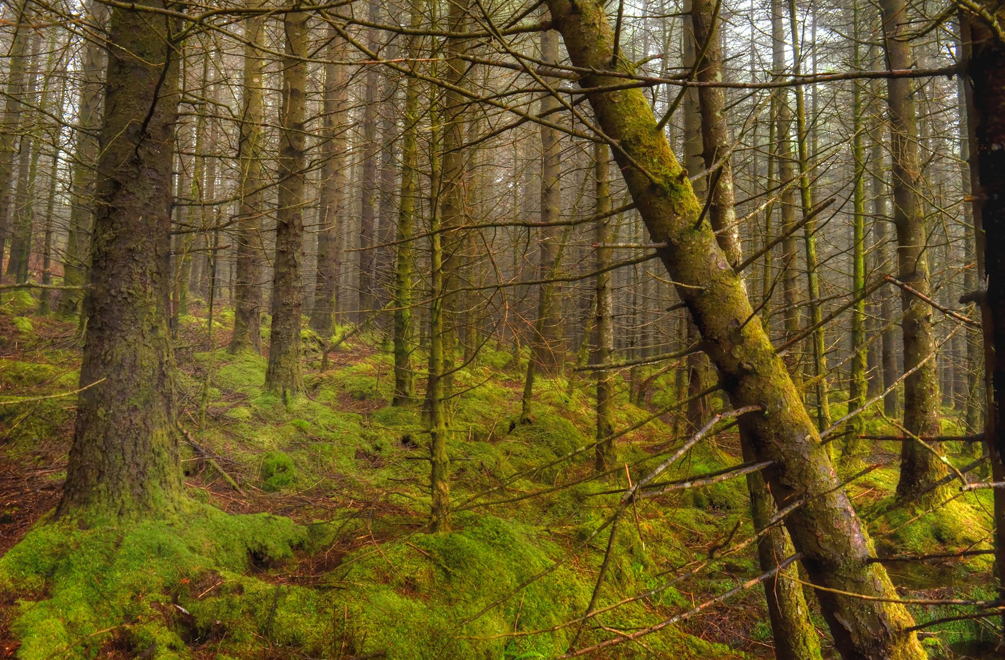 DSC_0927_28_30_tonemapped.jpg