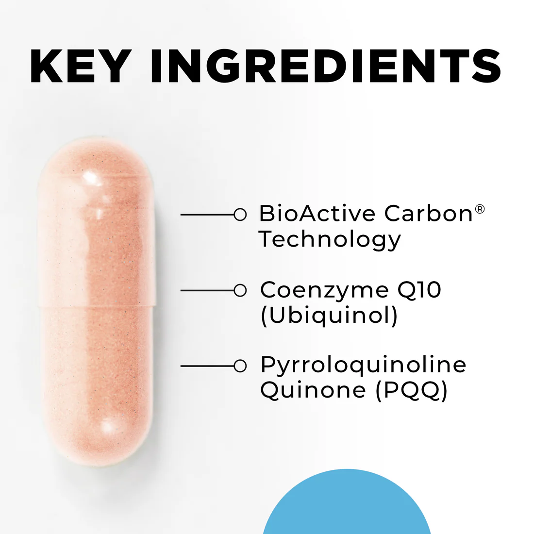 MitoActive_Ingredients_1100x1100.png