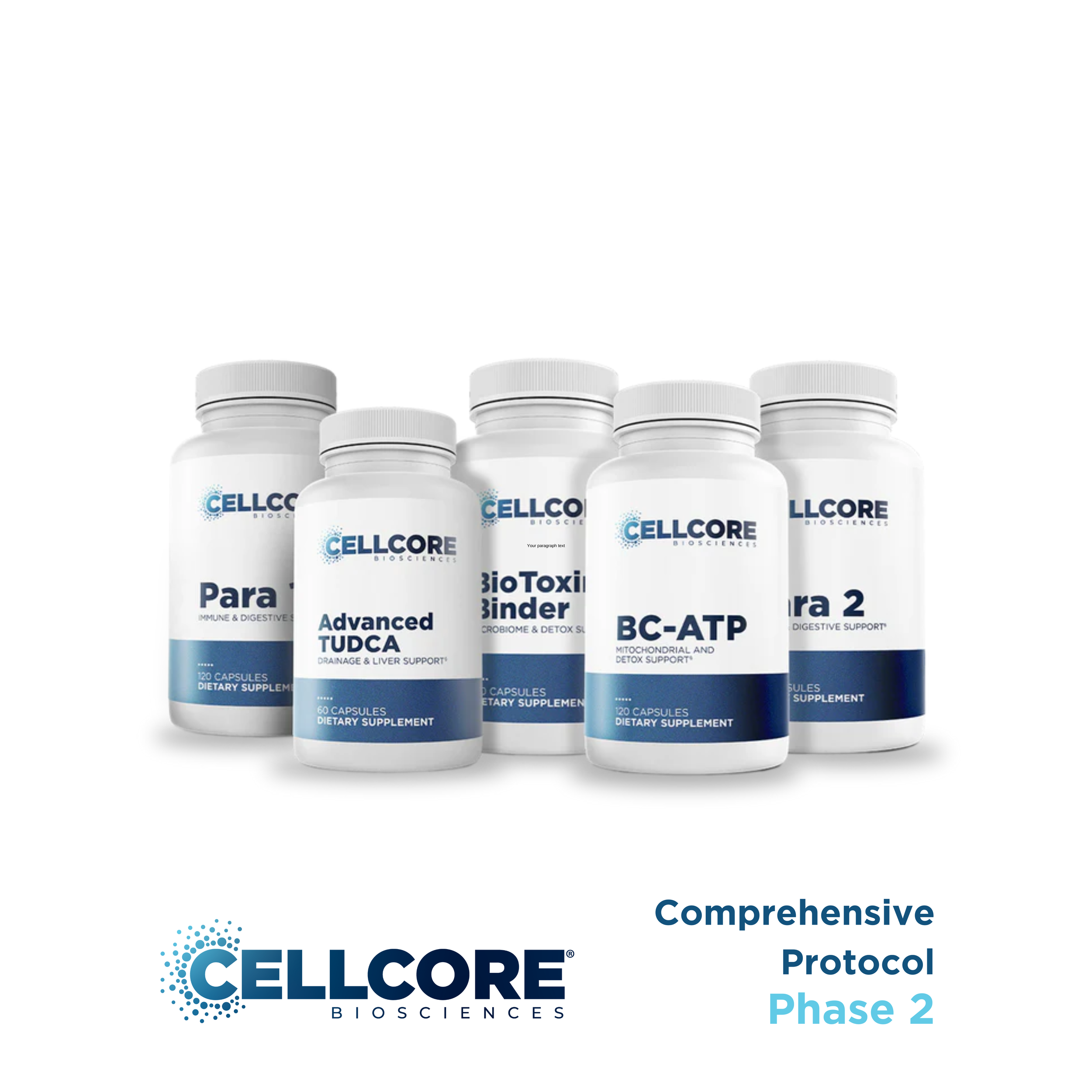 CellCore Comprehensive Protocol - Phase 2.png
