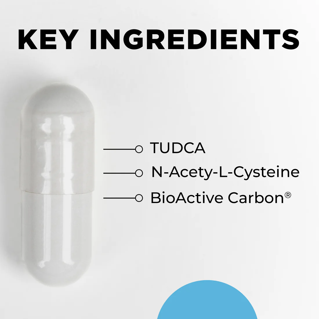 TUDCA_Key_Ingredients_1100x1100.png