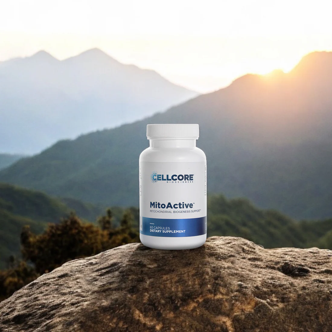 MitoActive_Lifestyle_1100x1100.png