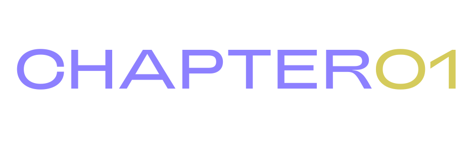 CHAPTER NO. 1 (940 × 300 px).png