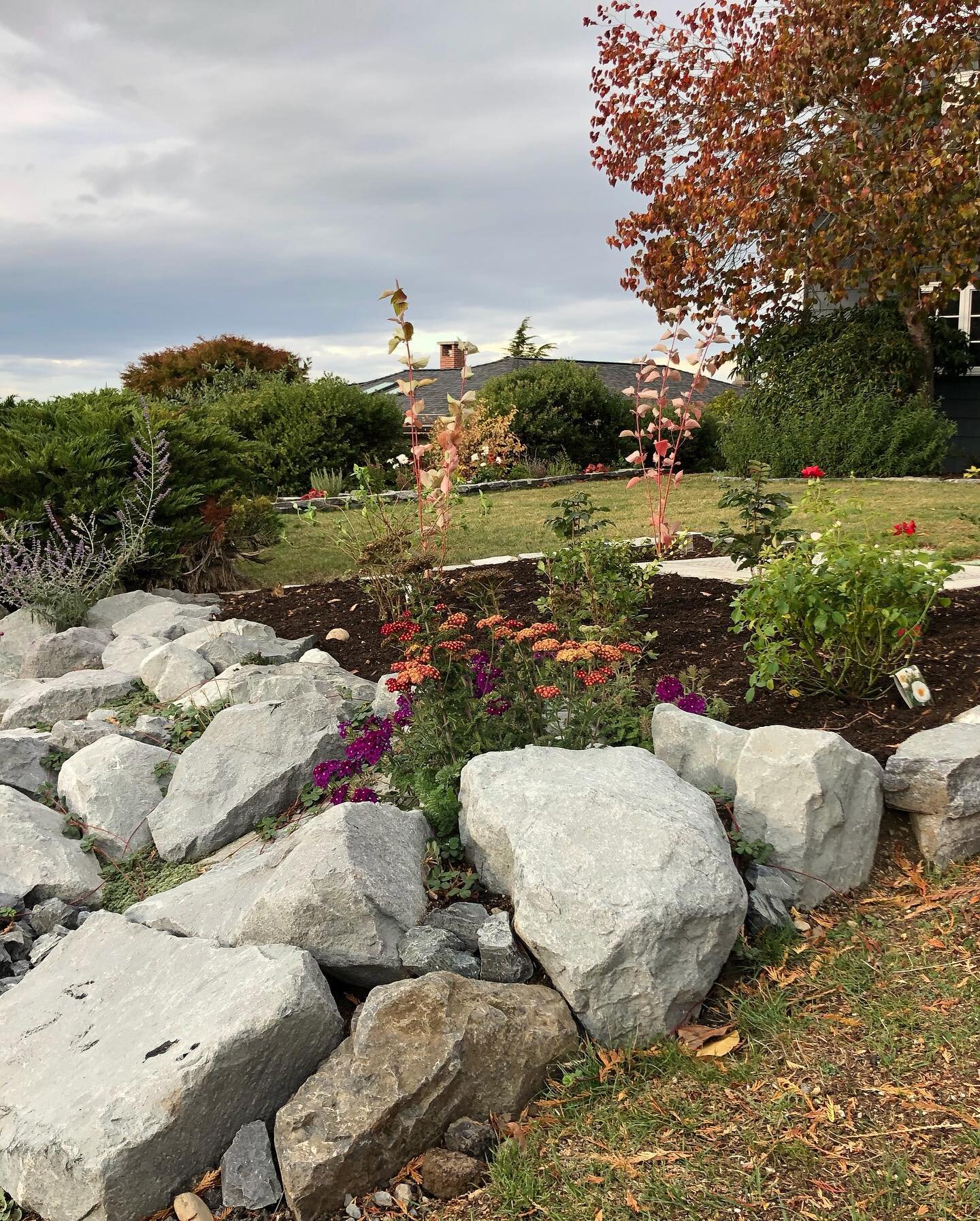 Our Blue Ridge boulder and drystack project was so much fun. We were tasked with covering up the utility boxes at the front and to add a retaining wall to the hillside to make it safer for kids. 

The result was a luscious garden full of native and b