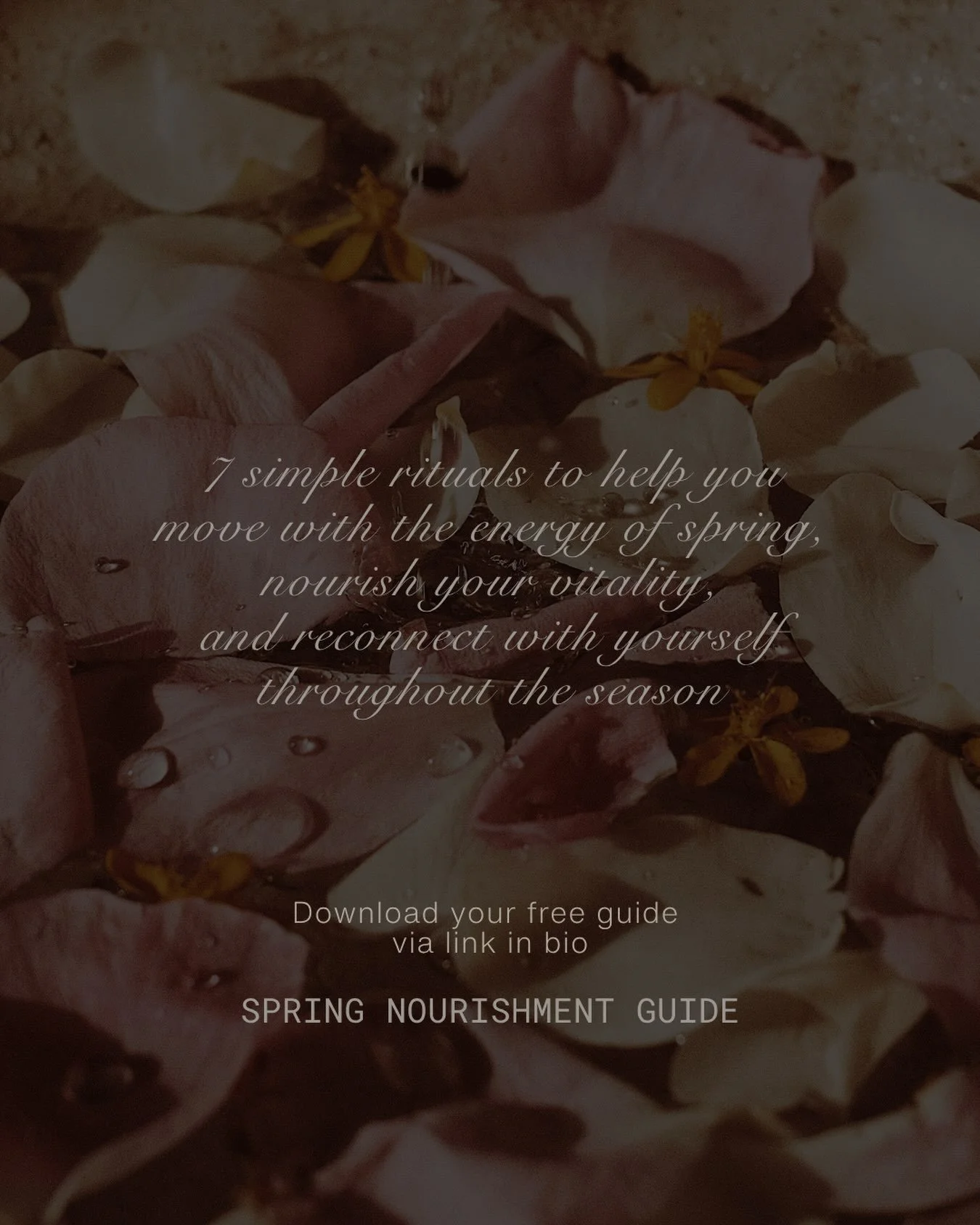 Spring invites us to follow what is emerging.

To move a little more.
To follow what feels alive.
To make space for new energy, ideas, desires and possibilities.

But embracing Spring doesn&rsquo;t mean rushing into action.

There is wisdom in moving