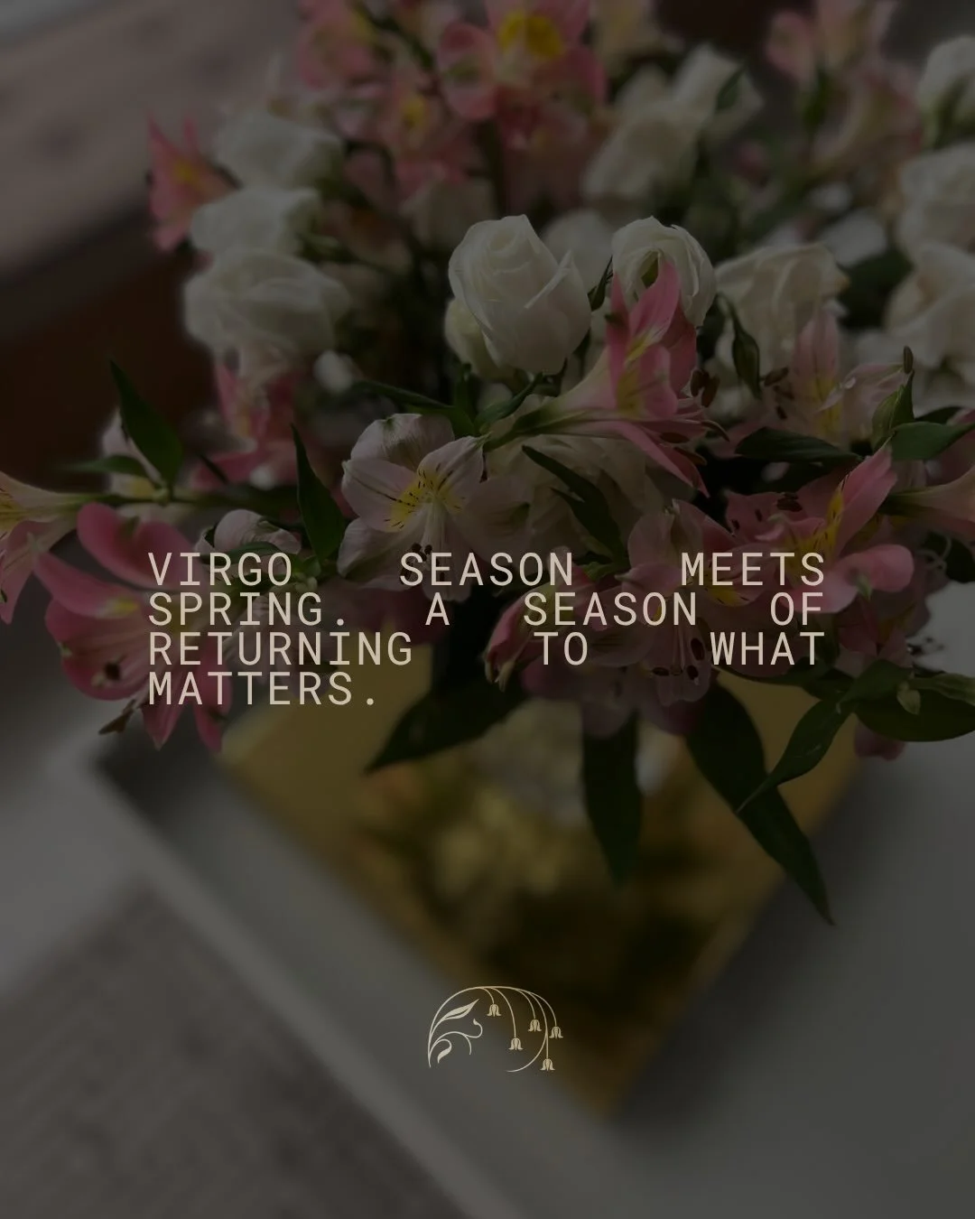 Virgo season meets spring, and both seem to invite a little more attention.

To how we&rsquo;re actually feeling.
To the rhythms we&rsquo;re living in.
To the patterns we&rsquo;ve been moving through without always noticing.

There can be a quiet mom