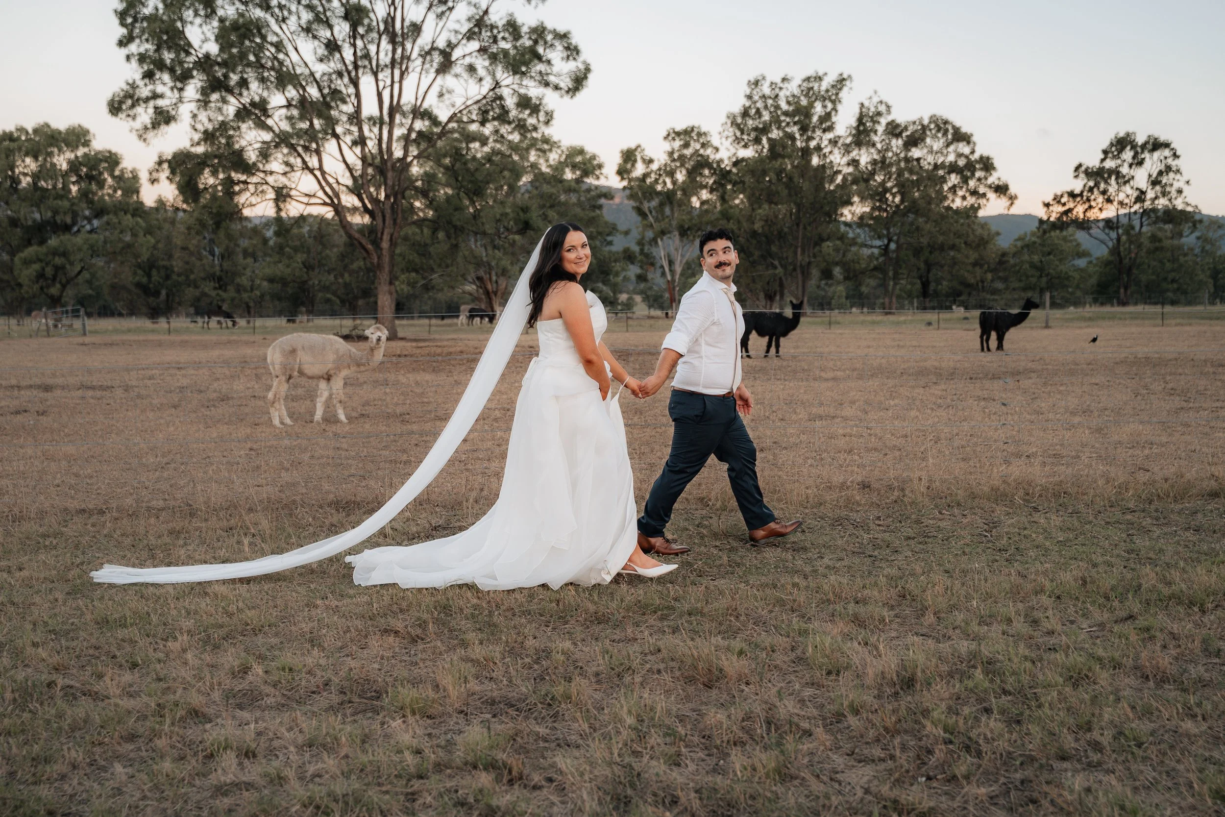 Starline Alpaca Farm Broke Wedding Photography & Videography