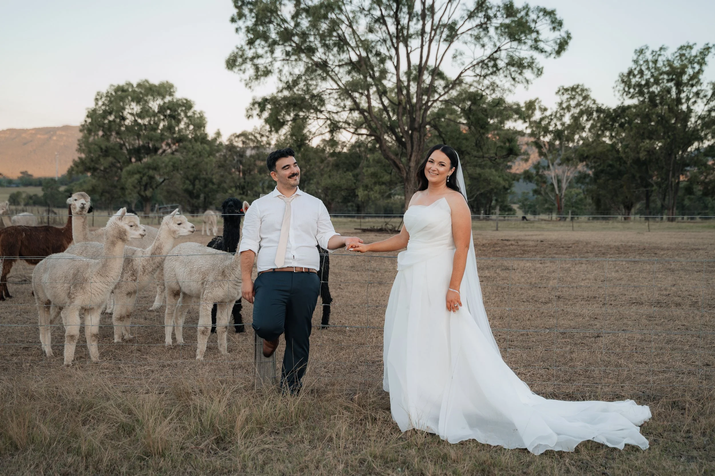 Starline Alpaca Farm Broke Wedding Photography & Videography