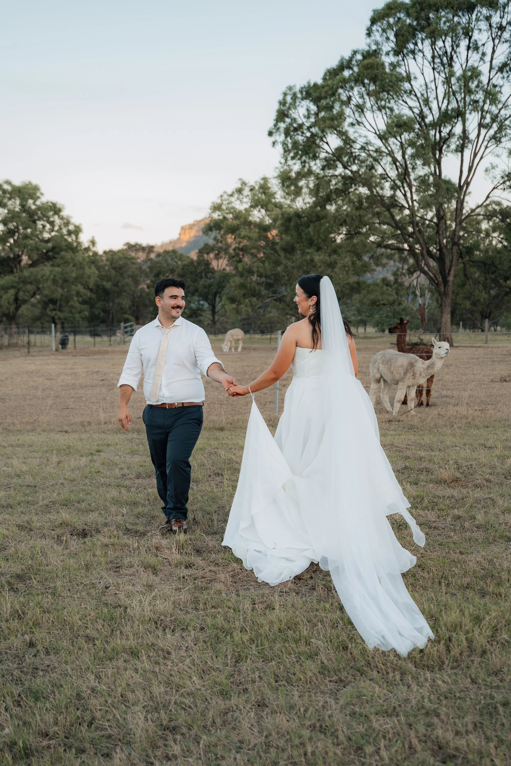 Starline Alpaca Farm Broke Wedding Photography & Videography