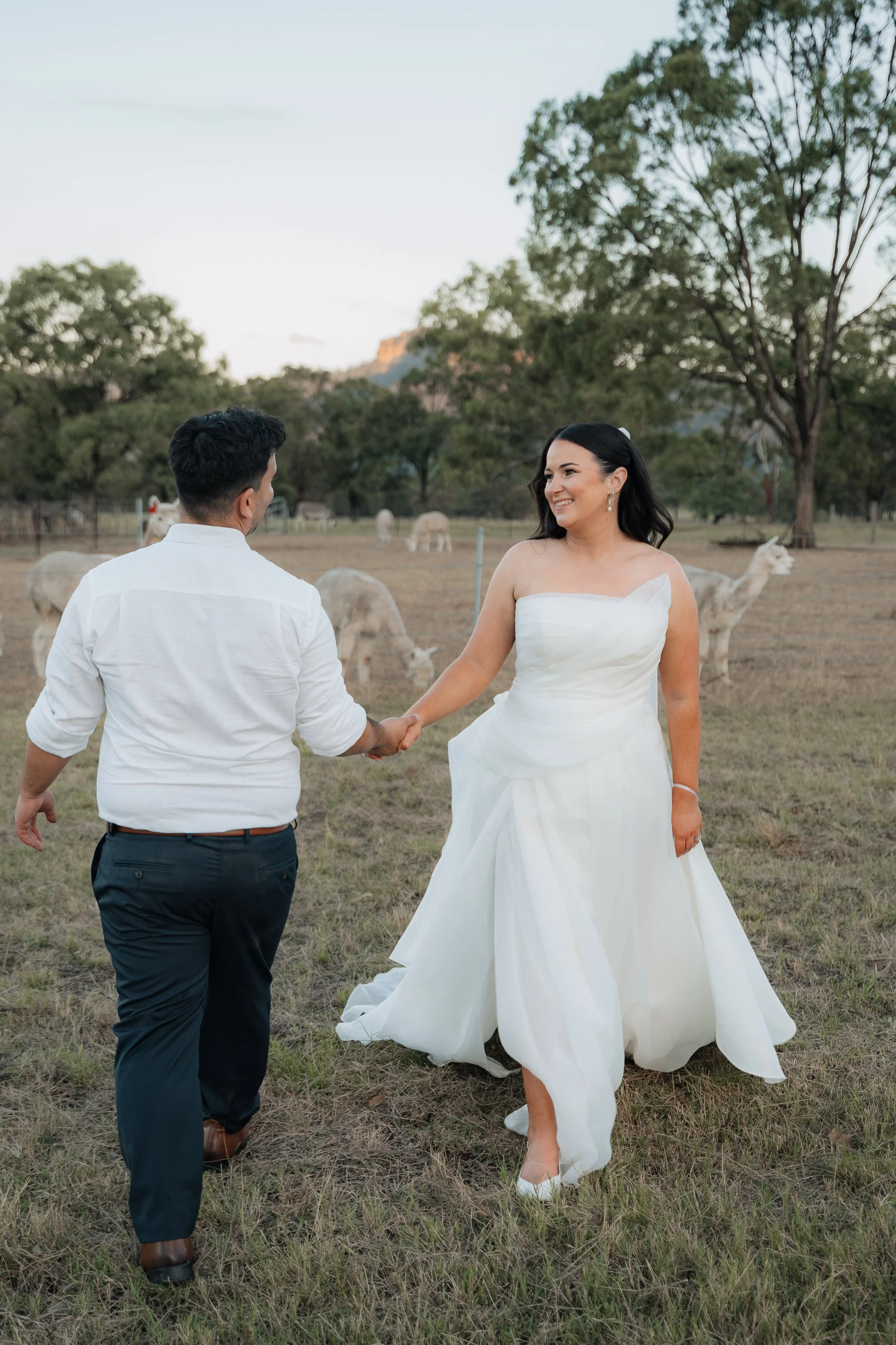 Starline Alpaca Farm Broke Wedding Photography & Videography