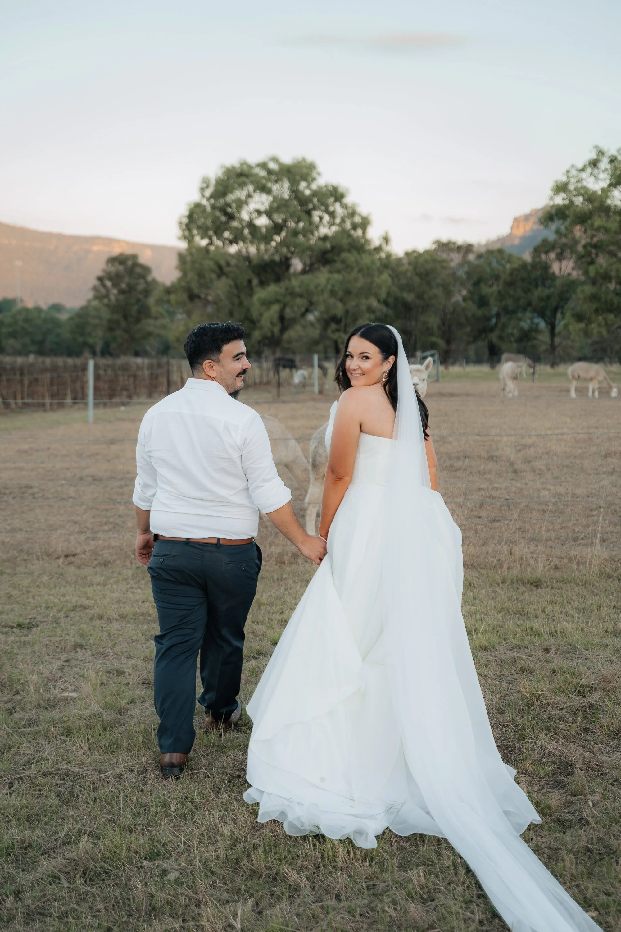 Starline Alpaca Farm Broke Wedding Photography & Videography
