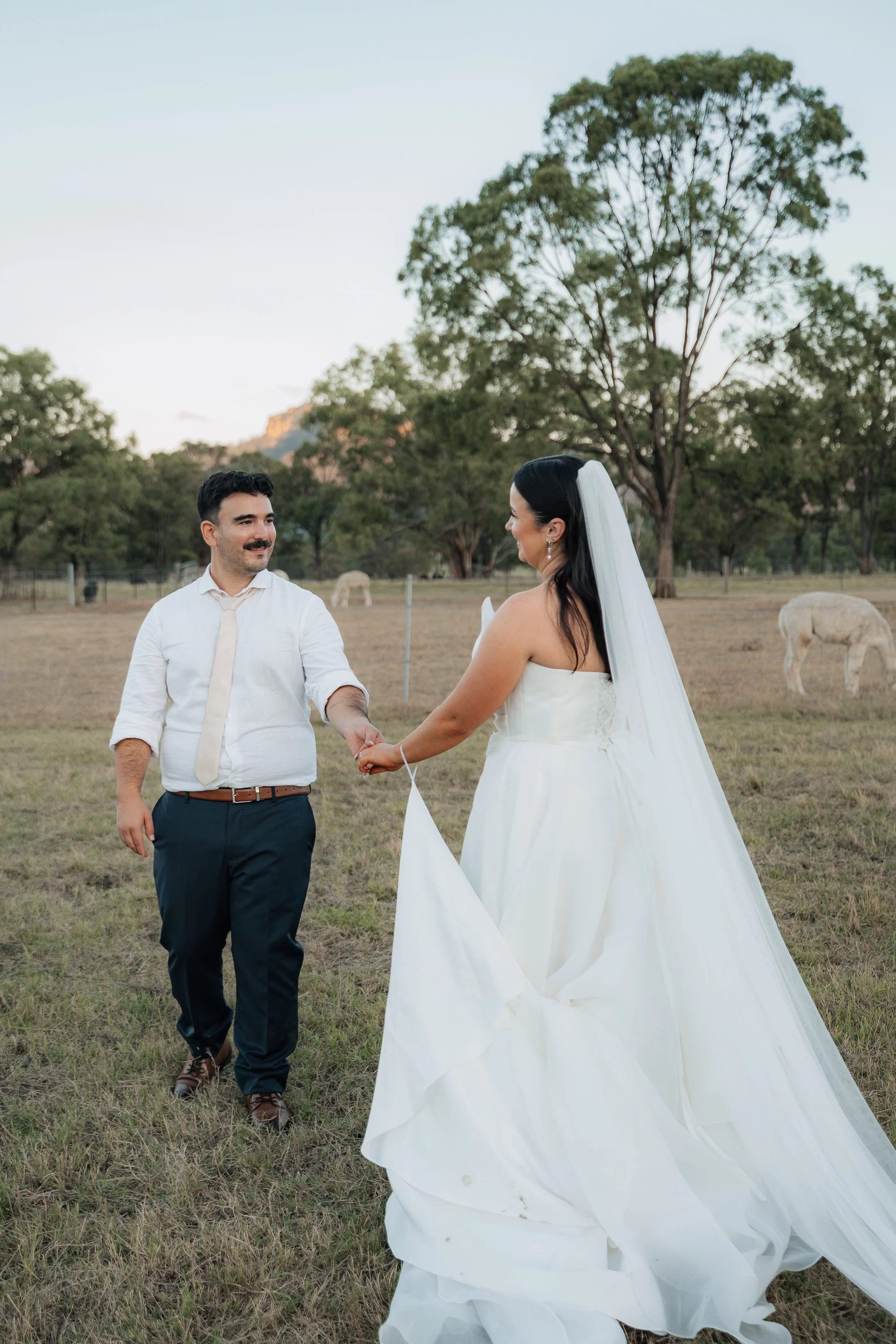 Starline Alpaca Farm Broke Wedding Photography & Videography