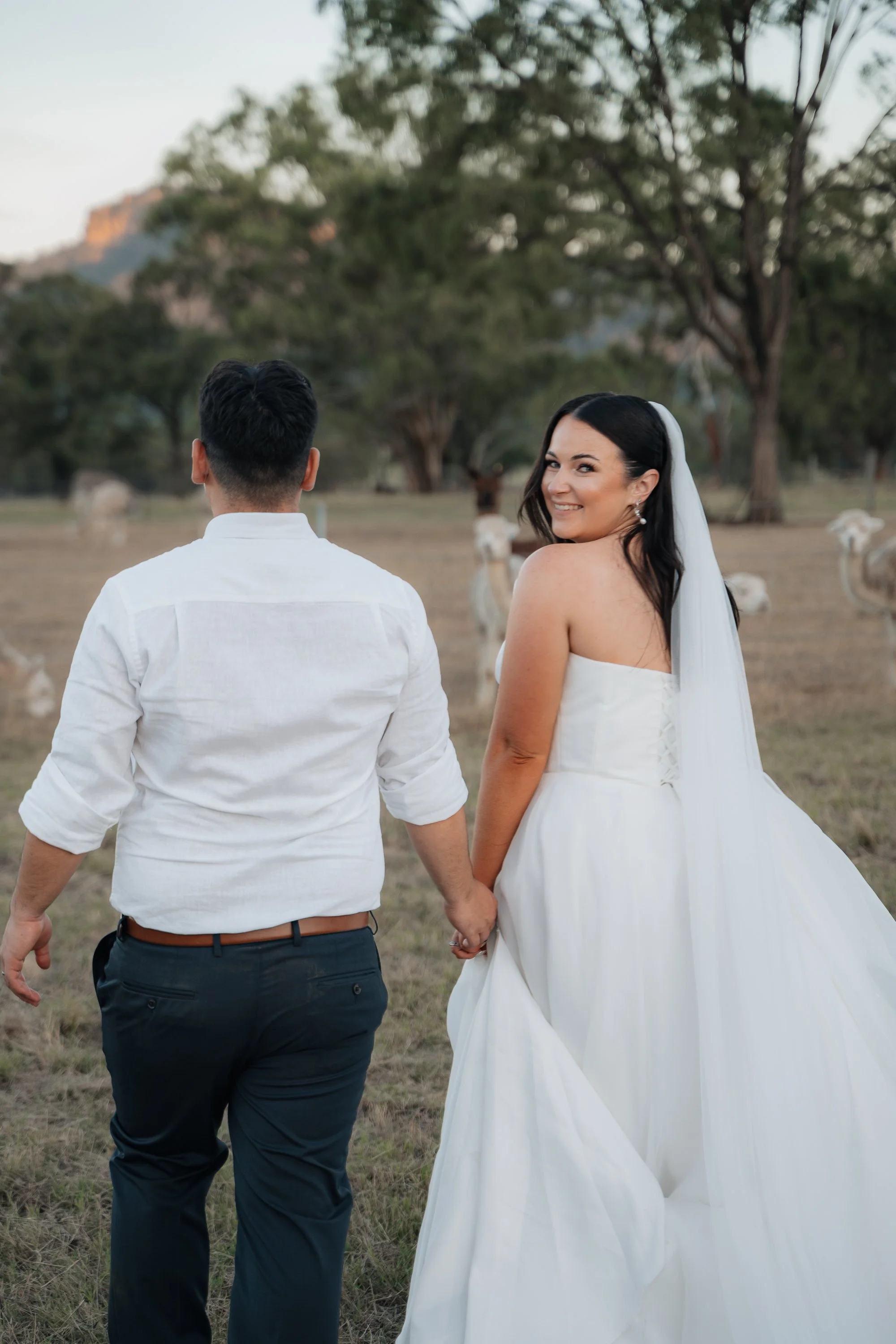 Starline Alpaca Farm Broke Wedding Photography & Videography