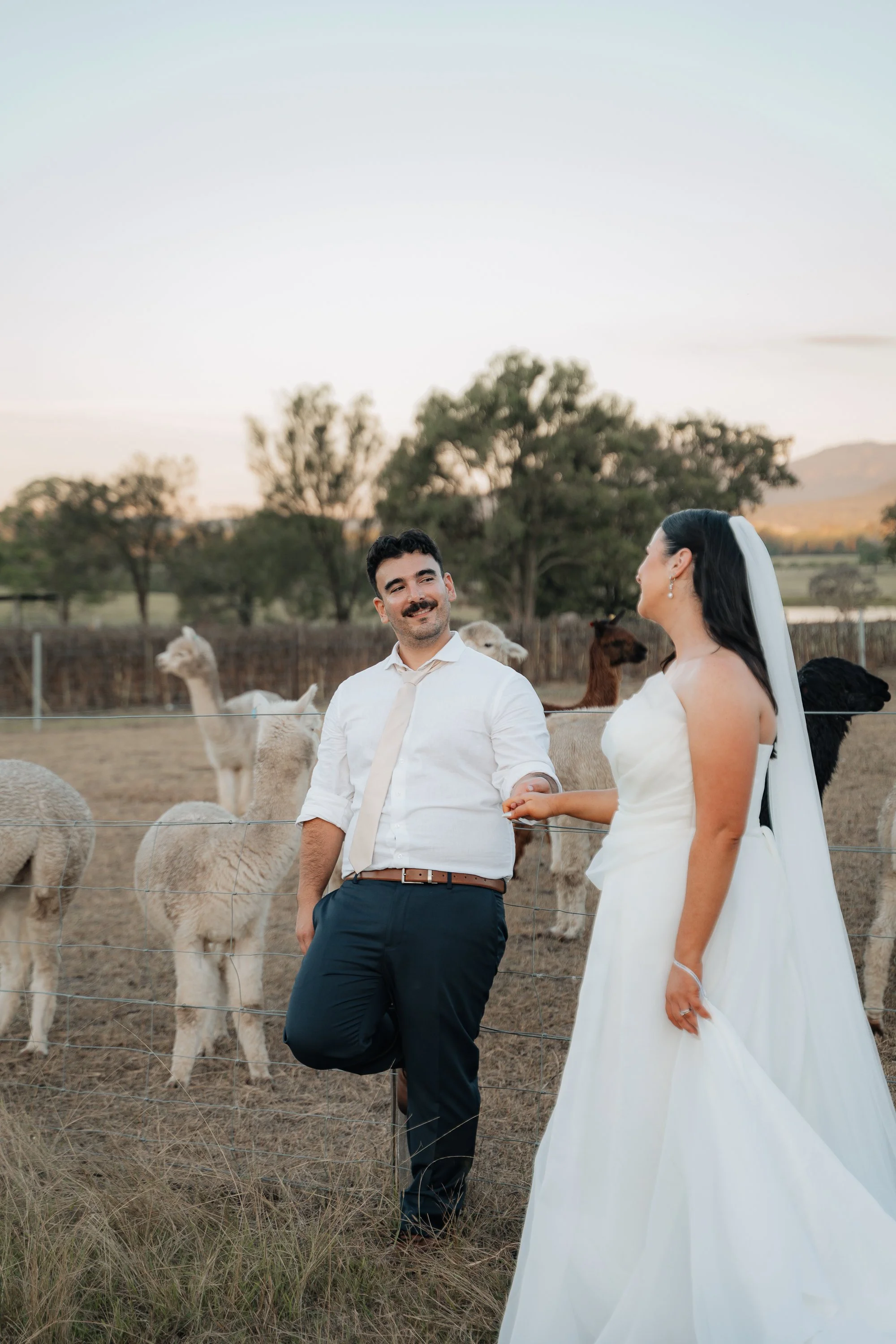 Starline Alpaca Farm Broke Wedding Photography & Videography