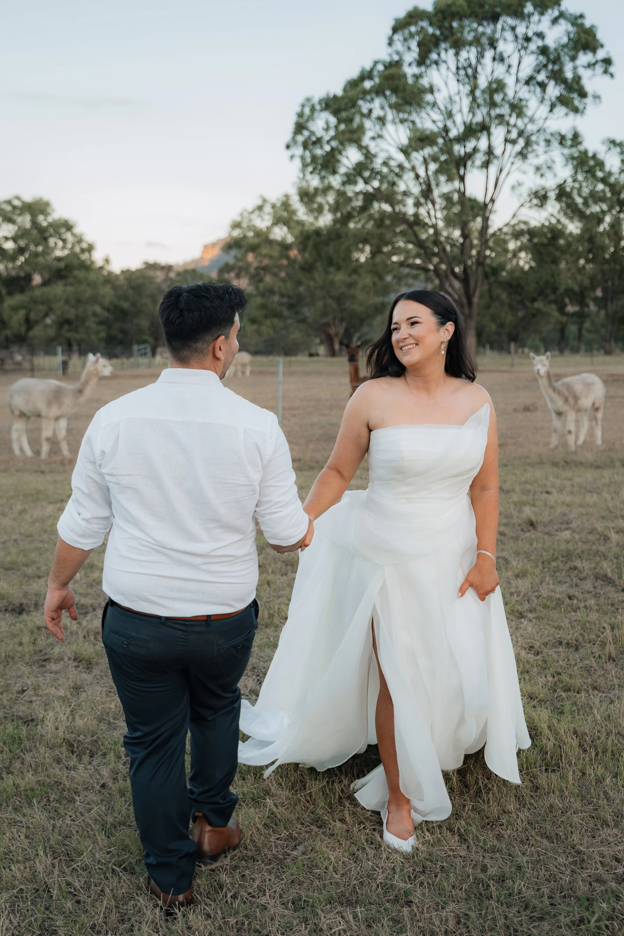 Starline Alpaca Farm Broke Wedding Photography & Videography