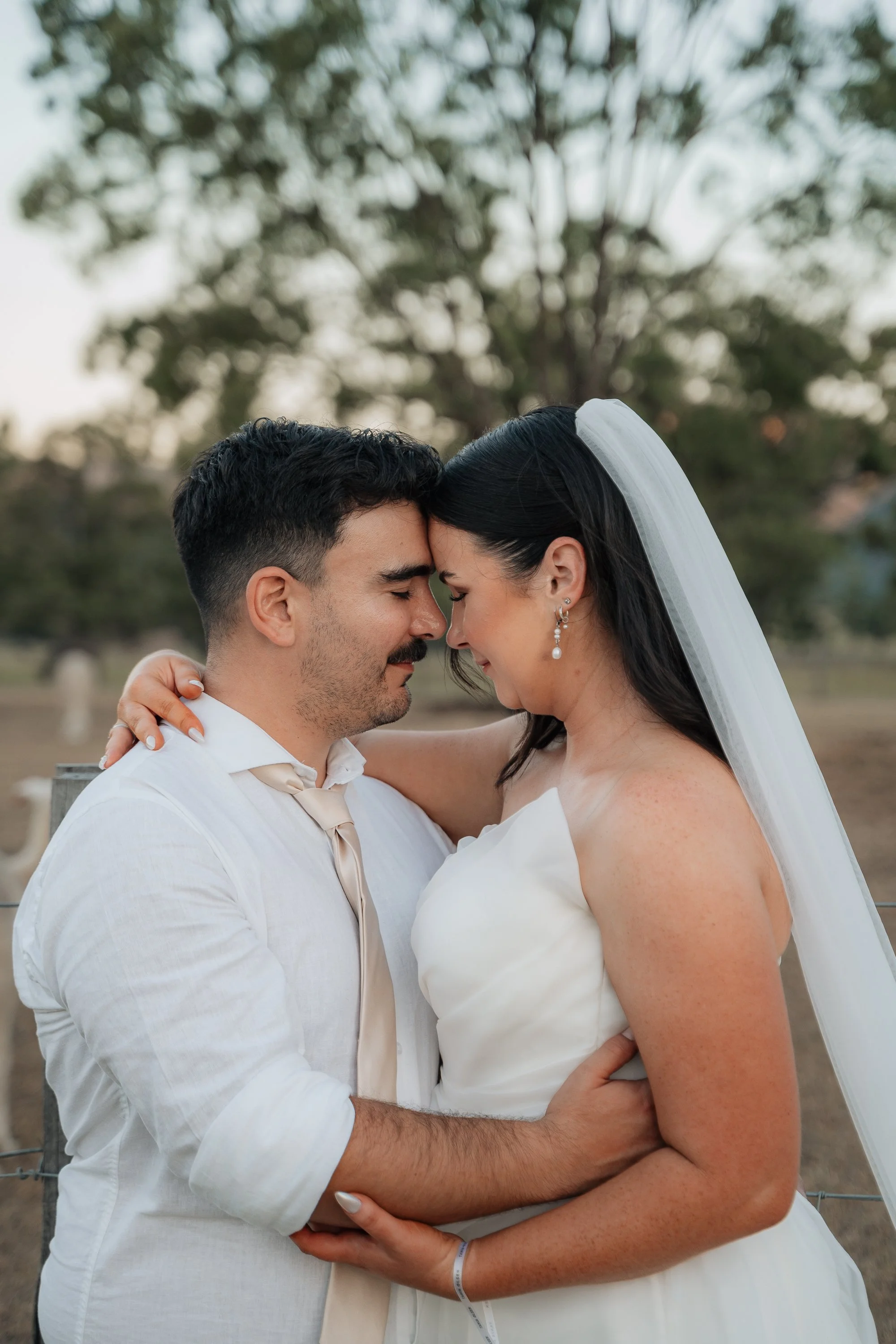 Starline Alpaca Farm Broke Wedding Photography & Videography
